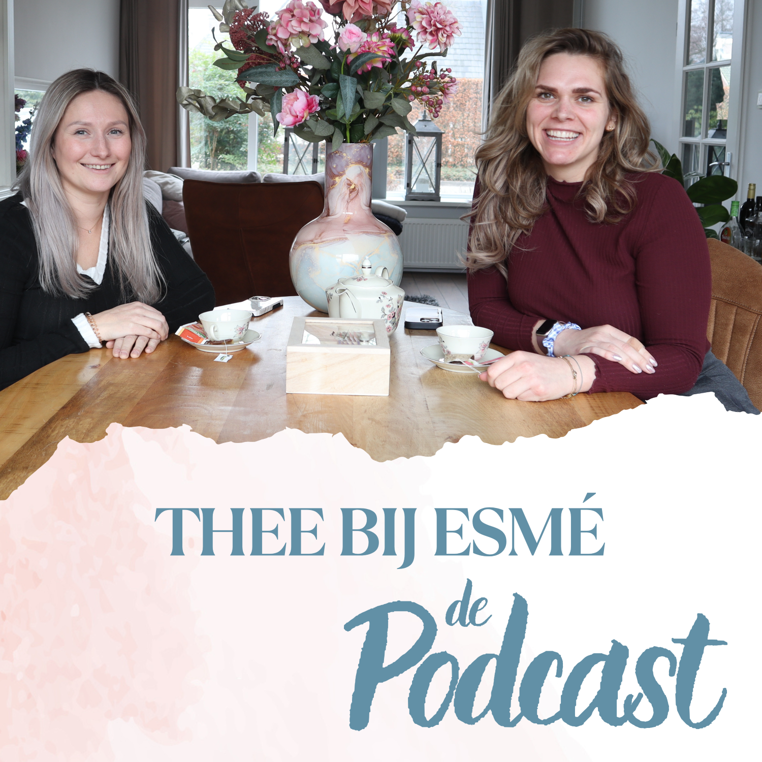 Hartslagmeeting, kleine ondernemersregeling & financiën in de paardensector  - Thee bij Esmé episode artwork