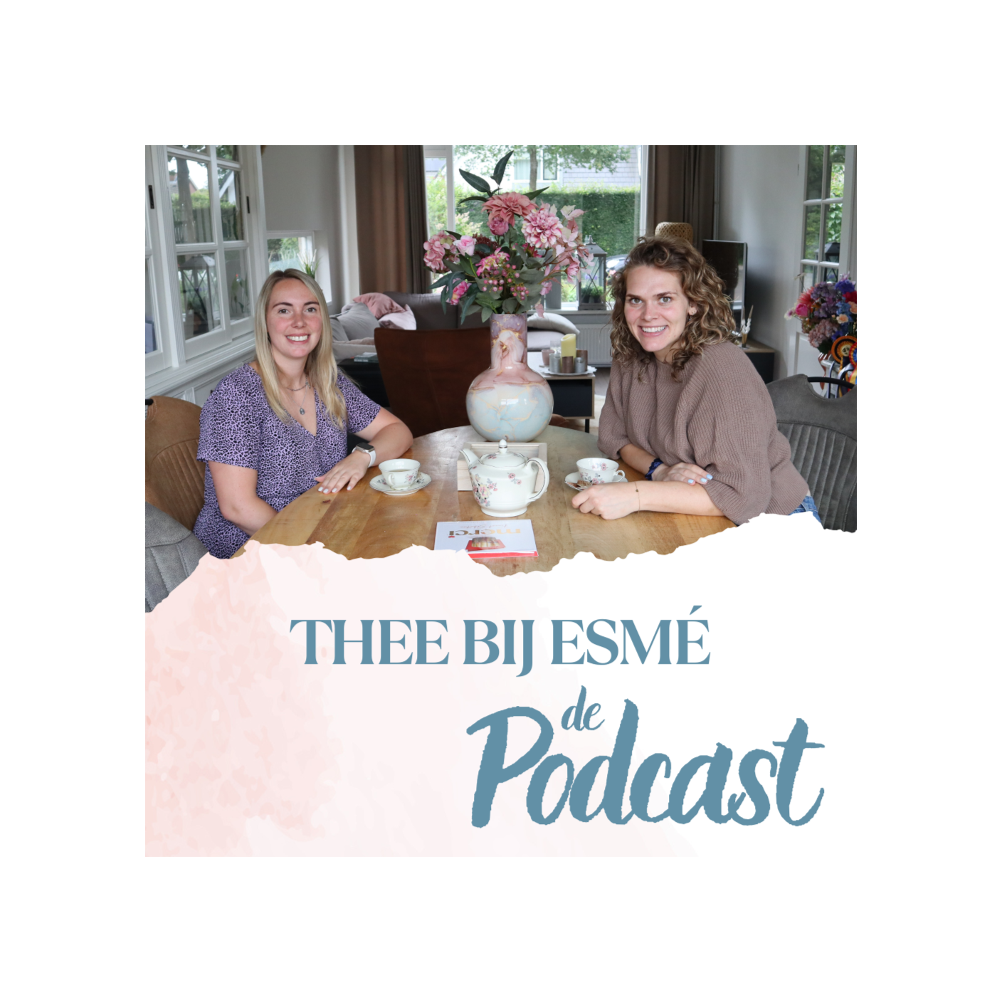 HOND terug GEVONDEN door een DIERENTOLK!? - Thee bij Esmé episode artwork