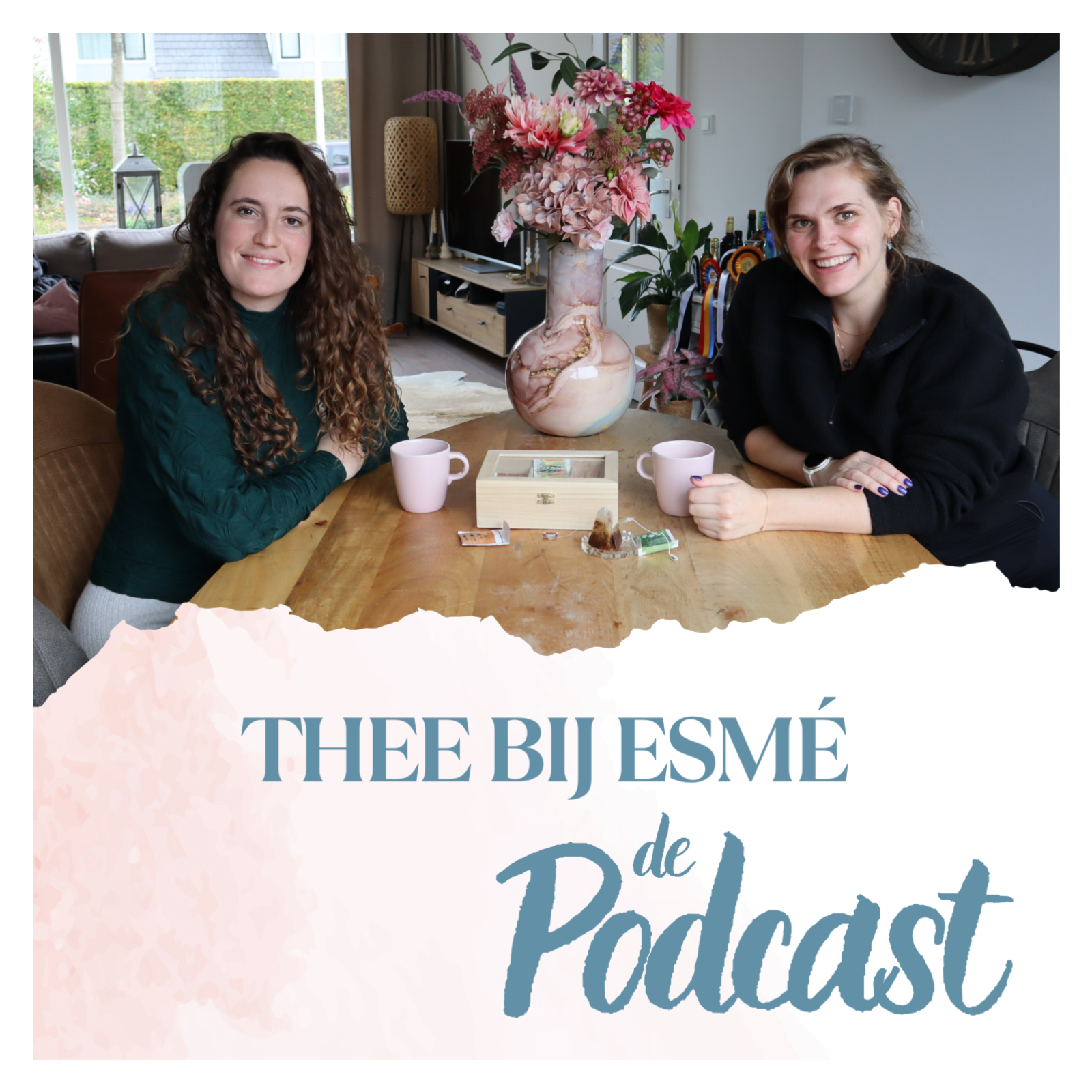 Anne's REACTIE toen ik haar BELDE met het NIEUWS dat ik ZWANGER WAS! - Thee bij Esmé episode artwork