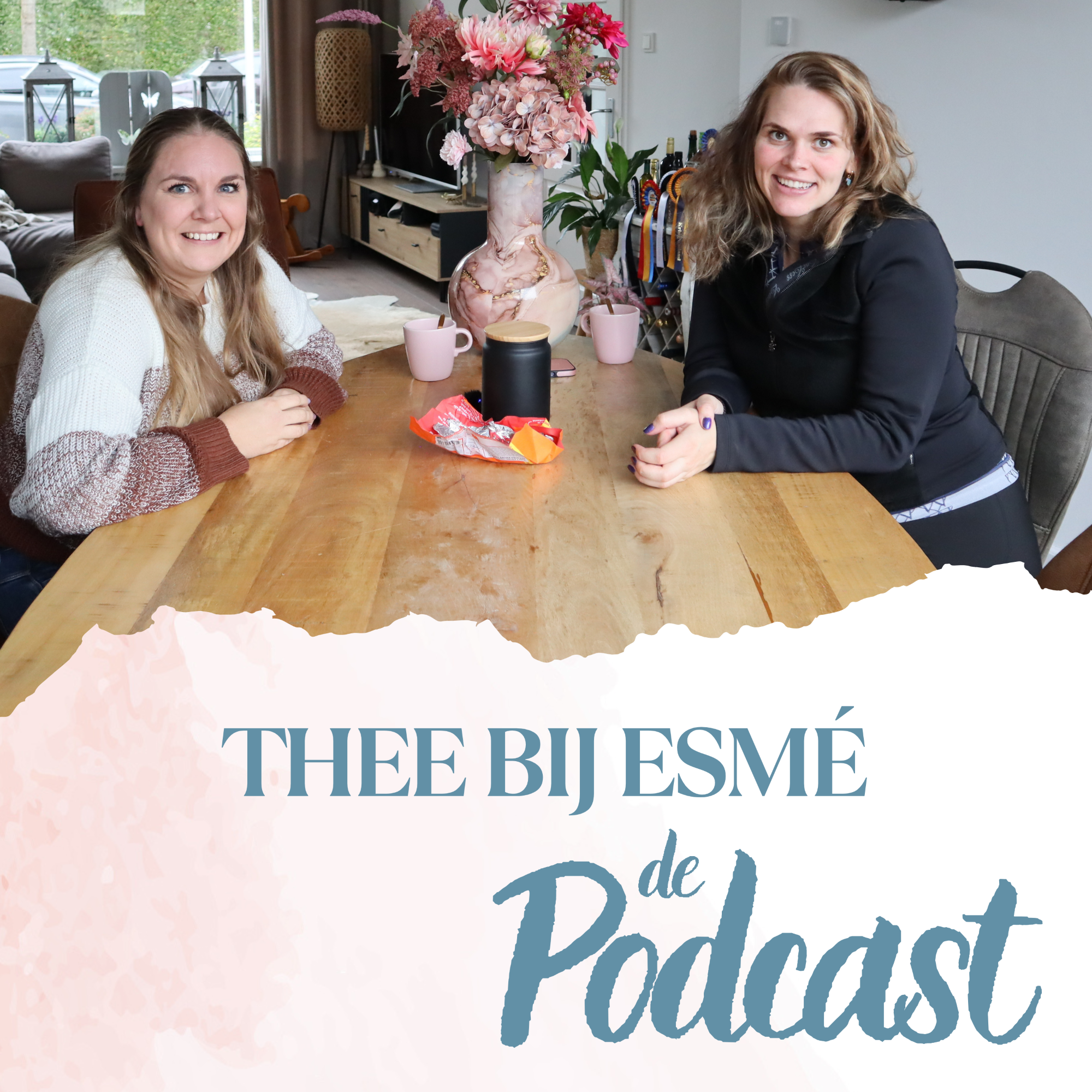 Op 27-jarige leeftijd je BESTE VRIENDIN verliezen aan EUTHANASIE... - Thee bij Esmé episode artwork