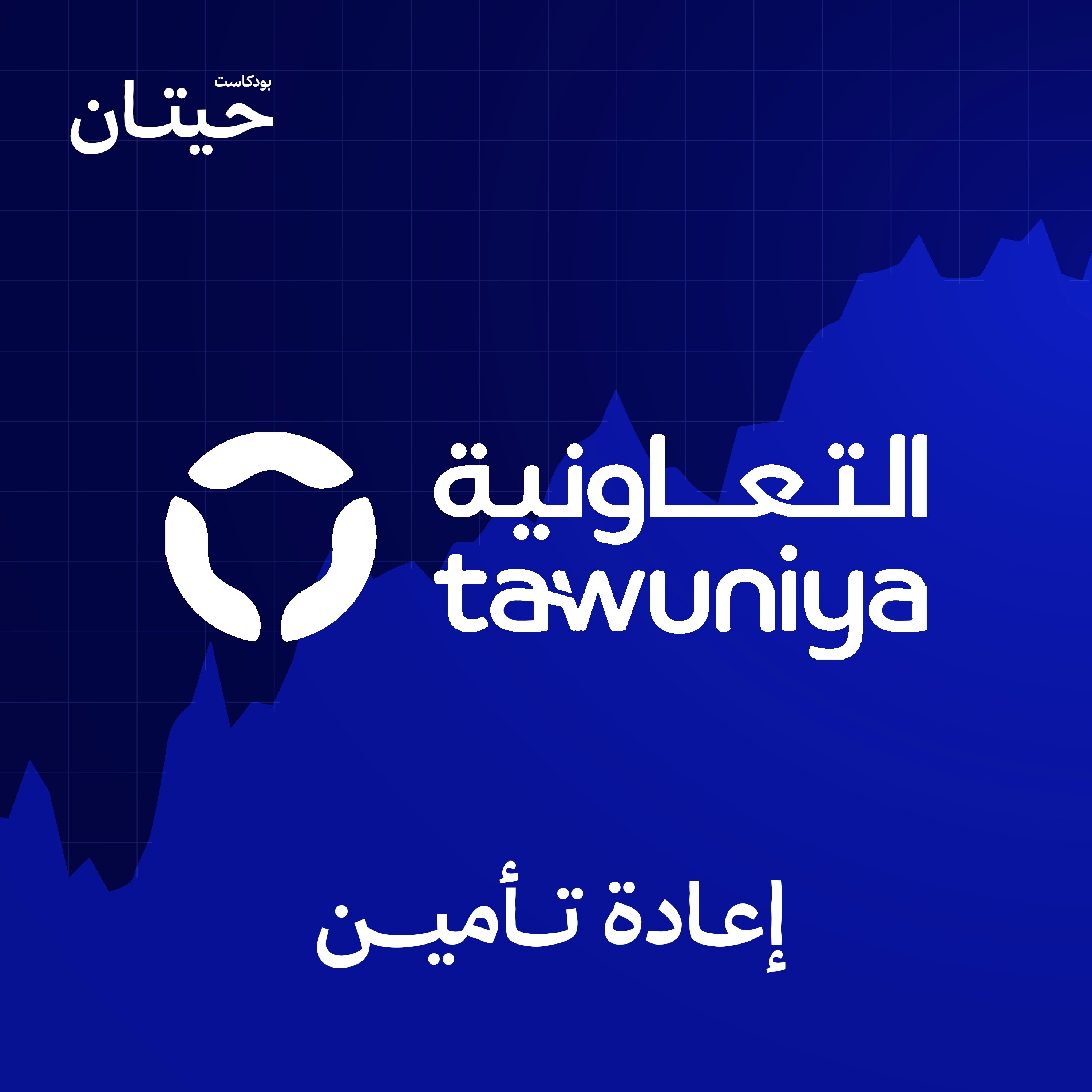 شركة التعاونية تؤسس شركة إعادة تأمين جديدة episode artwork
