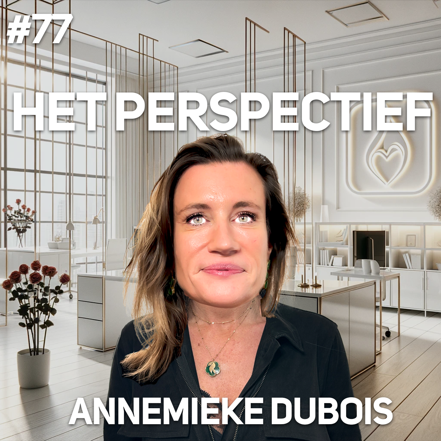 Het Perspectief