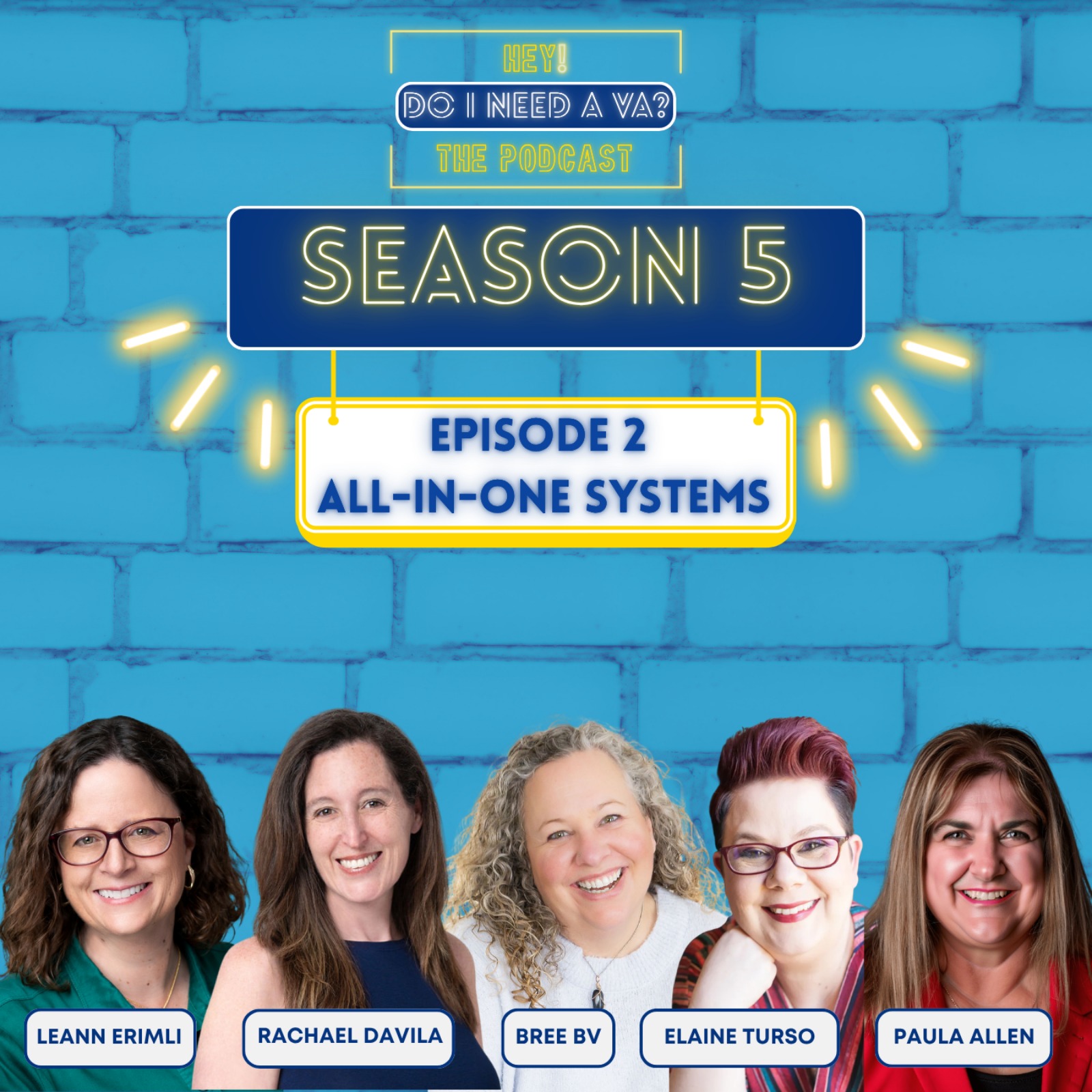 All-In-One Systems: Do You Need an Expert, a VA, or Both?