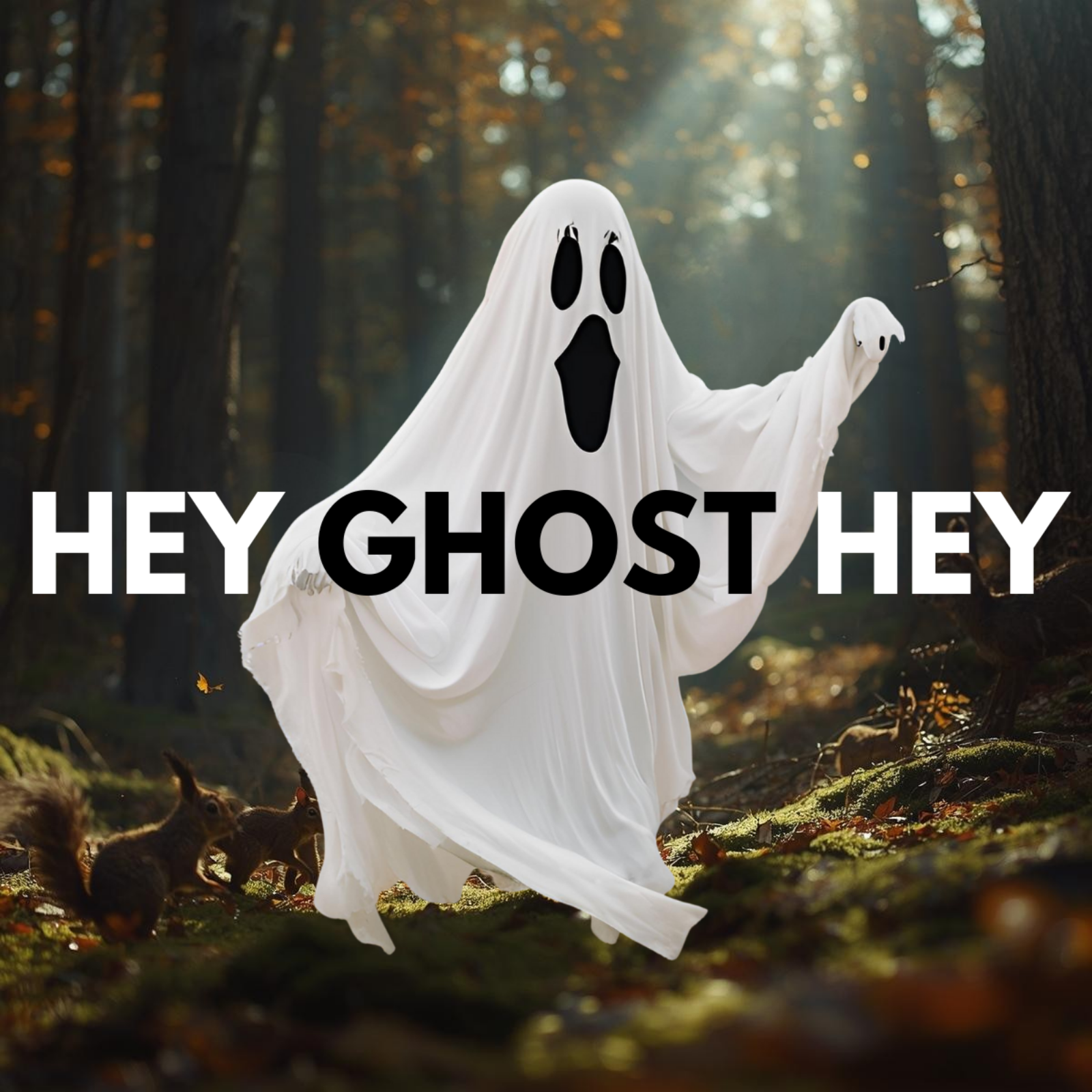 Hey Ghost Hey