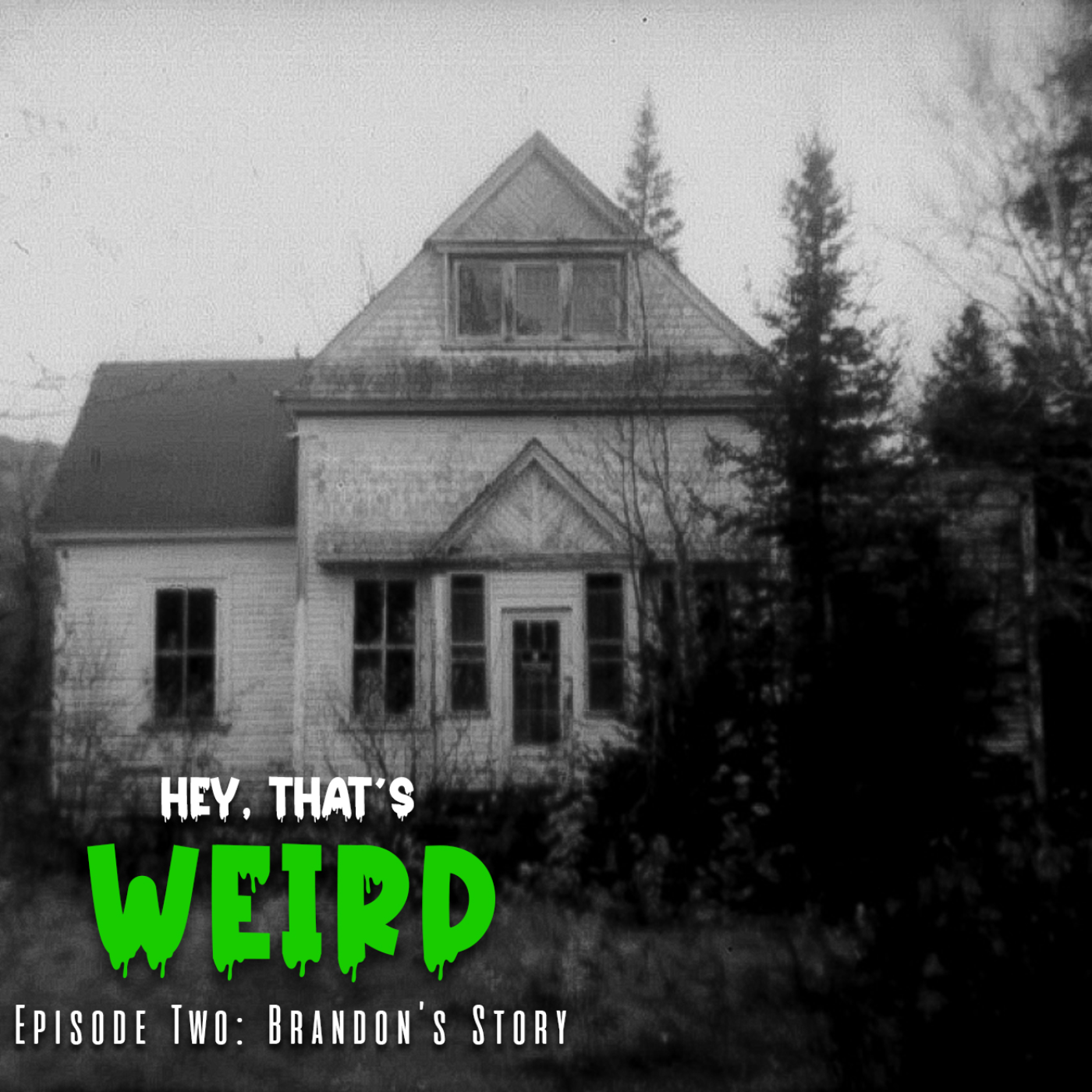 Episode Two: Brandon's Story