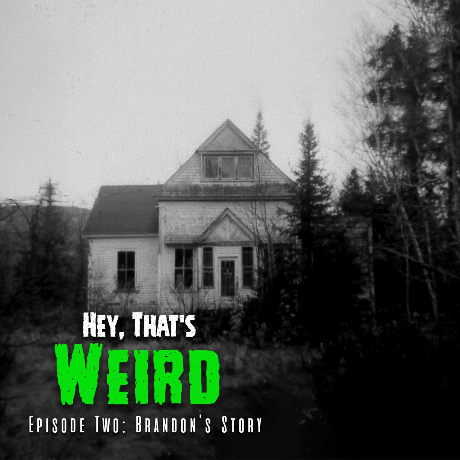 Episode Two: Brandon's Story