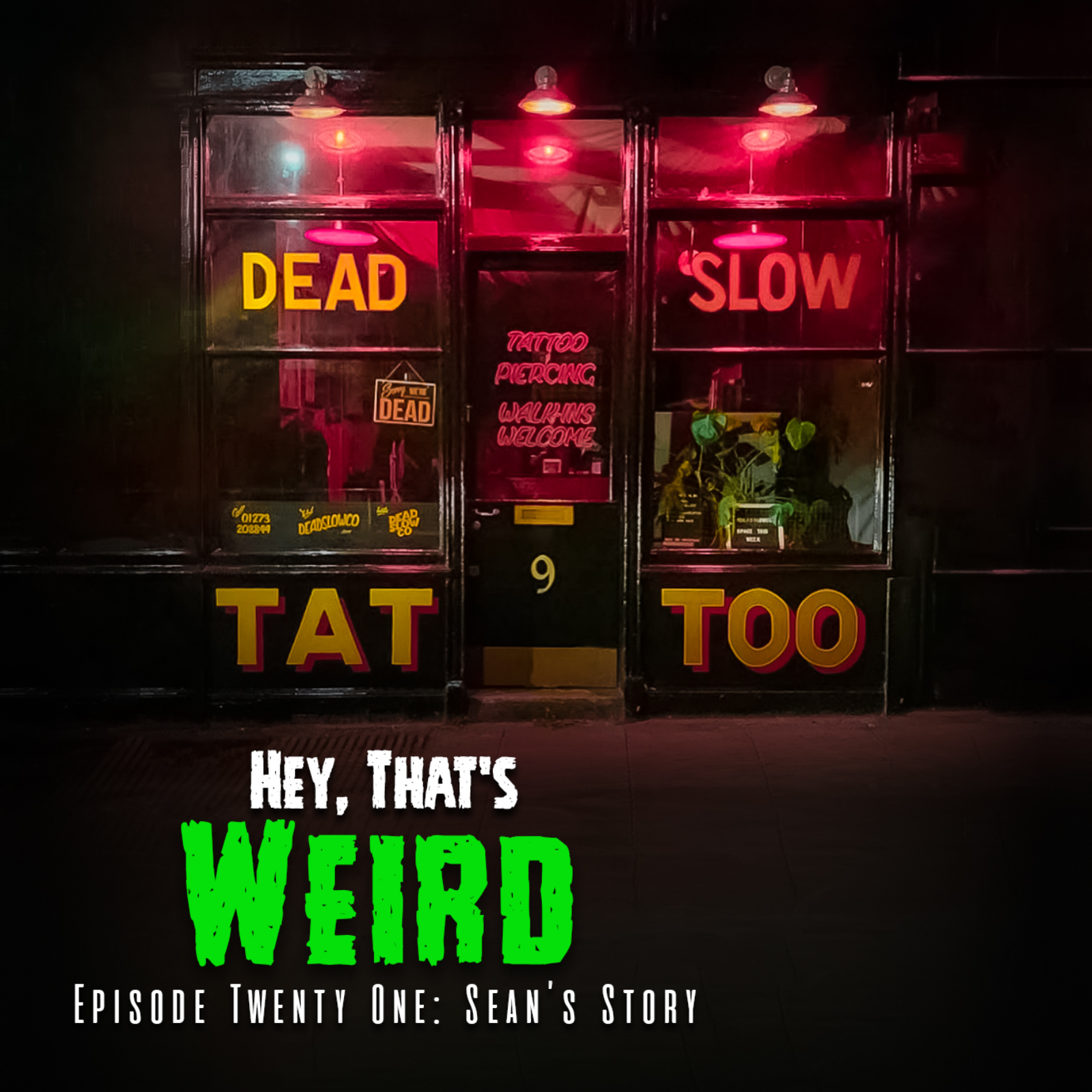 Episode Twenty One: Sean’s Story