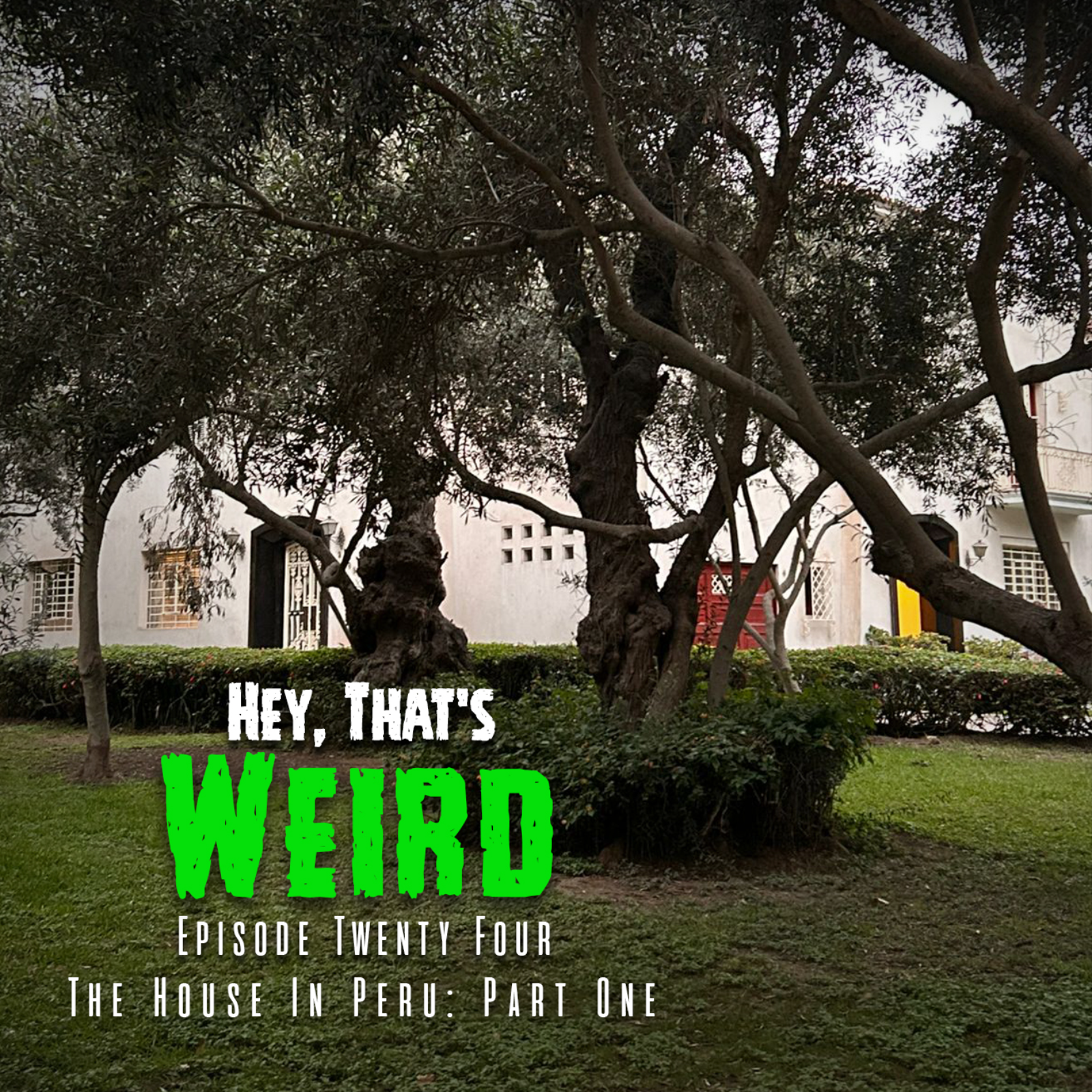 Episode Twenty Four: The House In Peru - Part One episode artwork