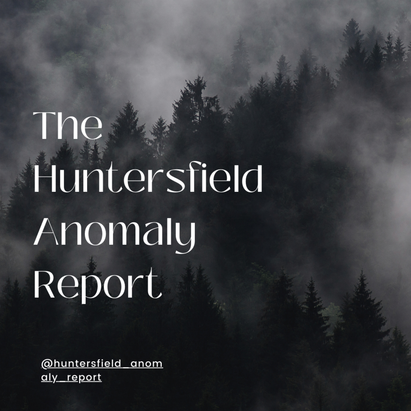 The Huntersfield Anomaly Report