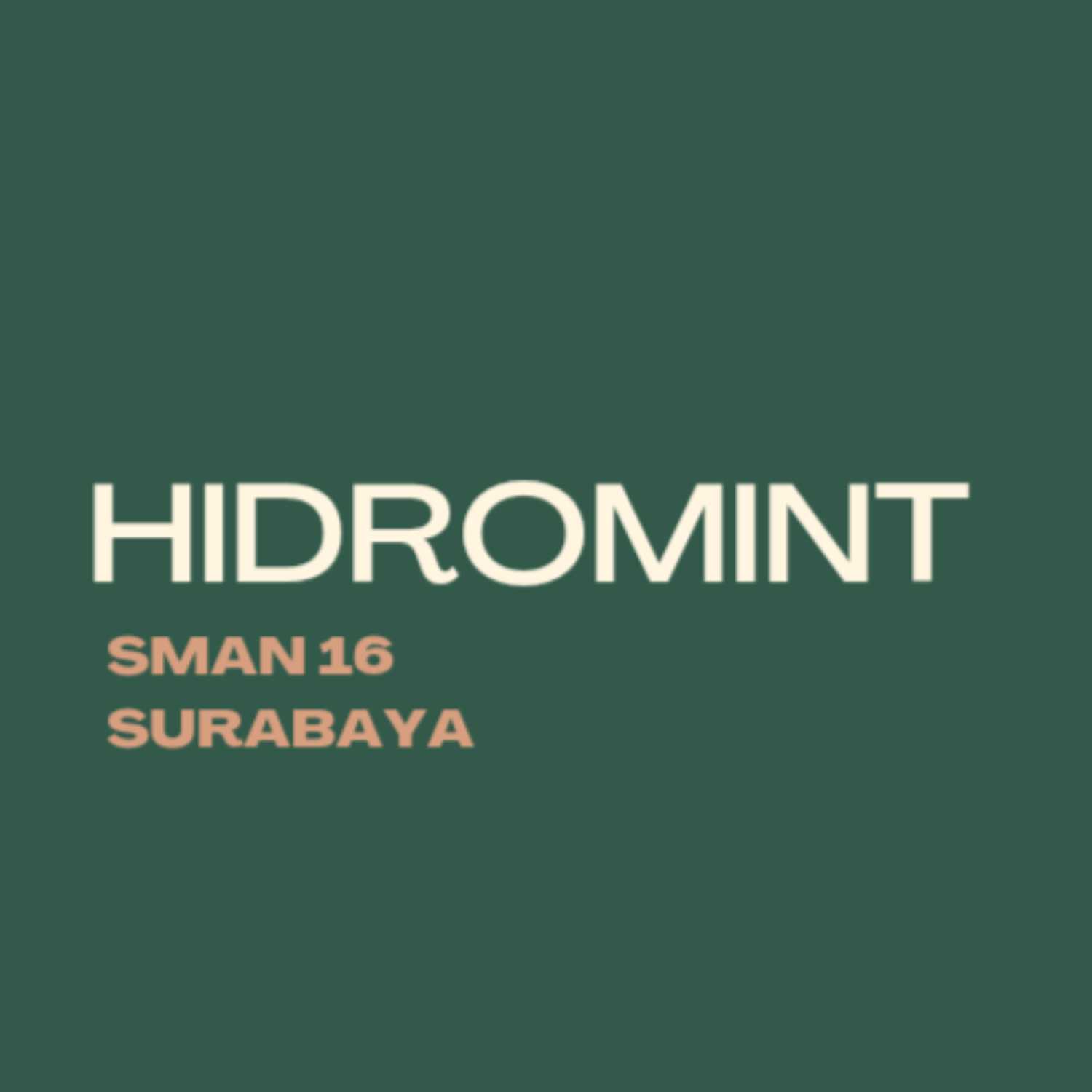 Hidromint Podcast