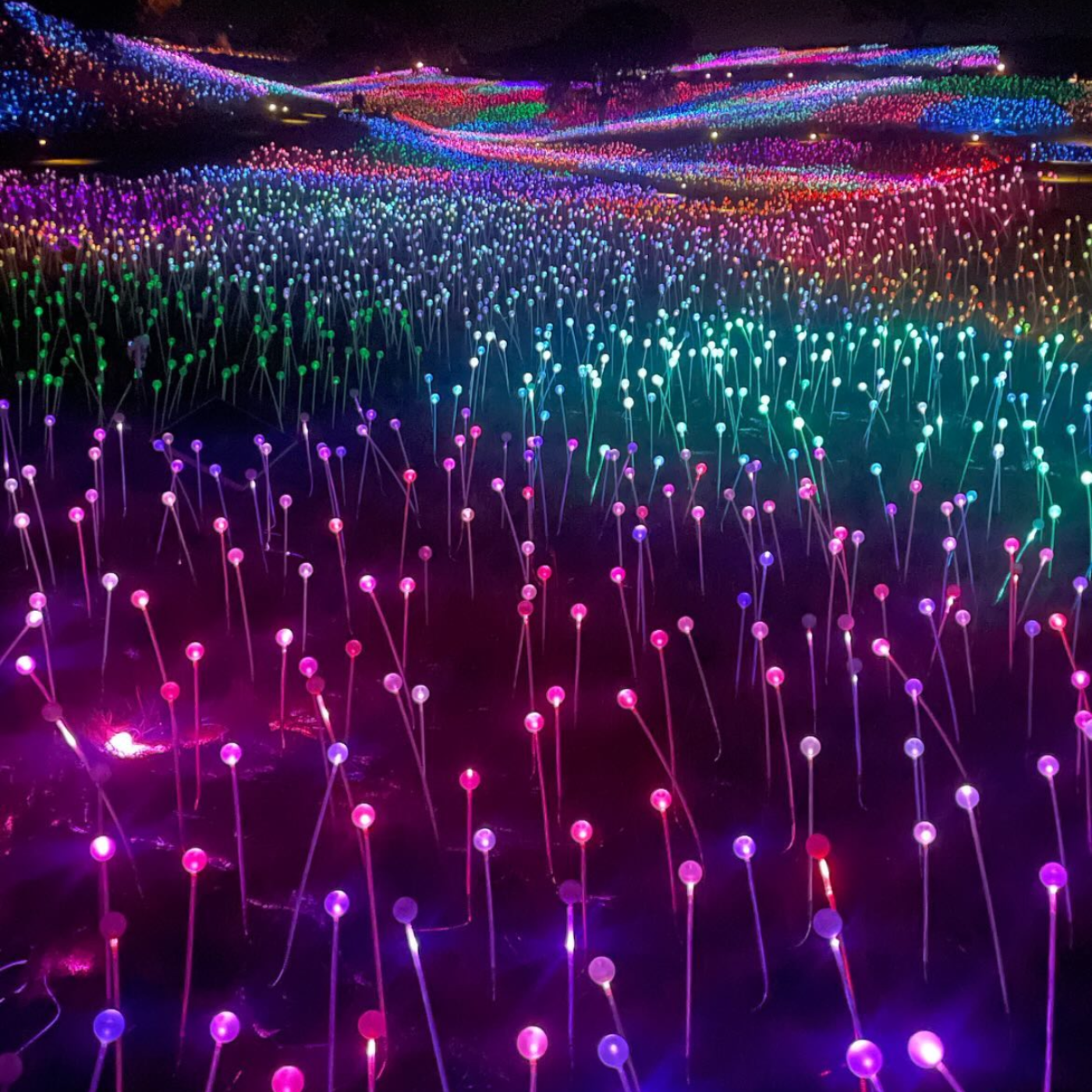 Higher Realms Rapid Healing