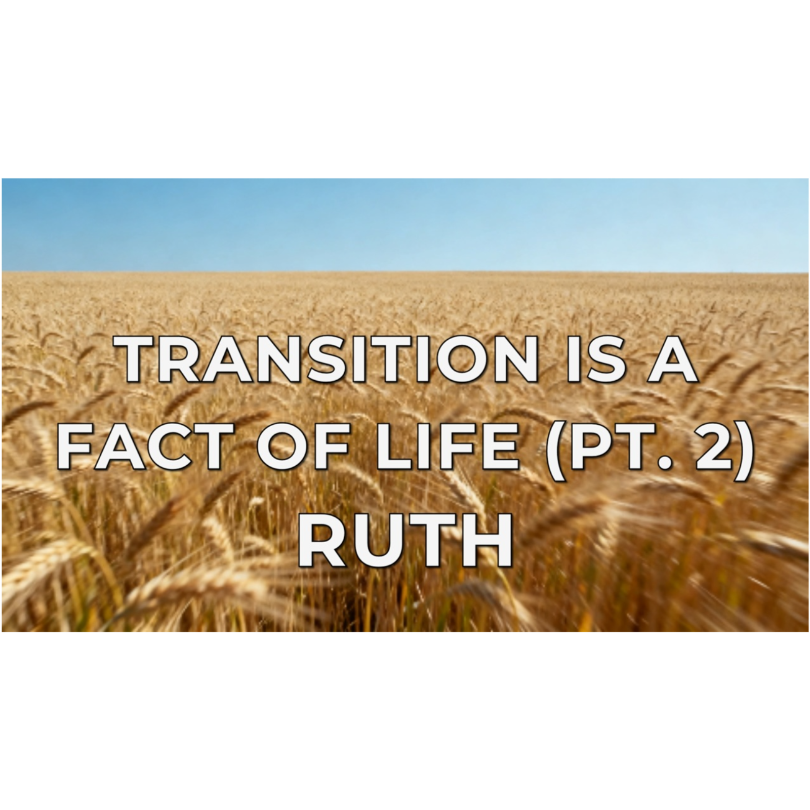 Ruth- Jan 25, 2026 episode artwork