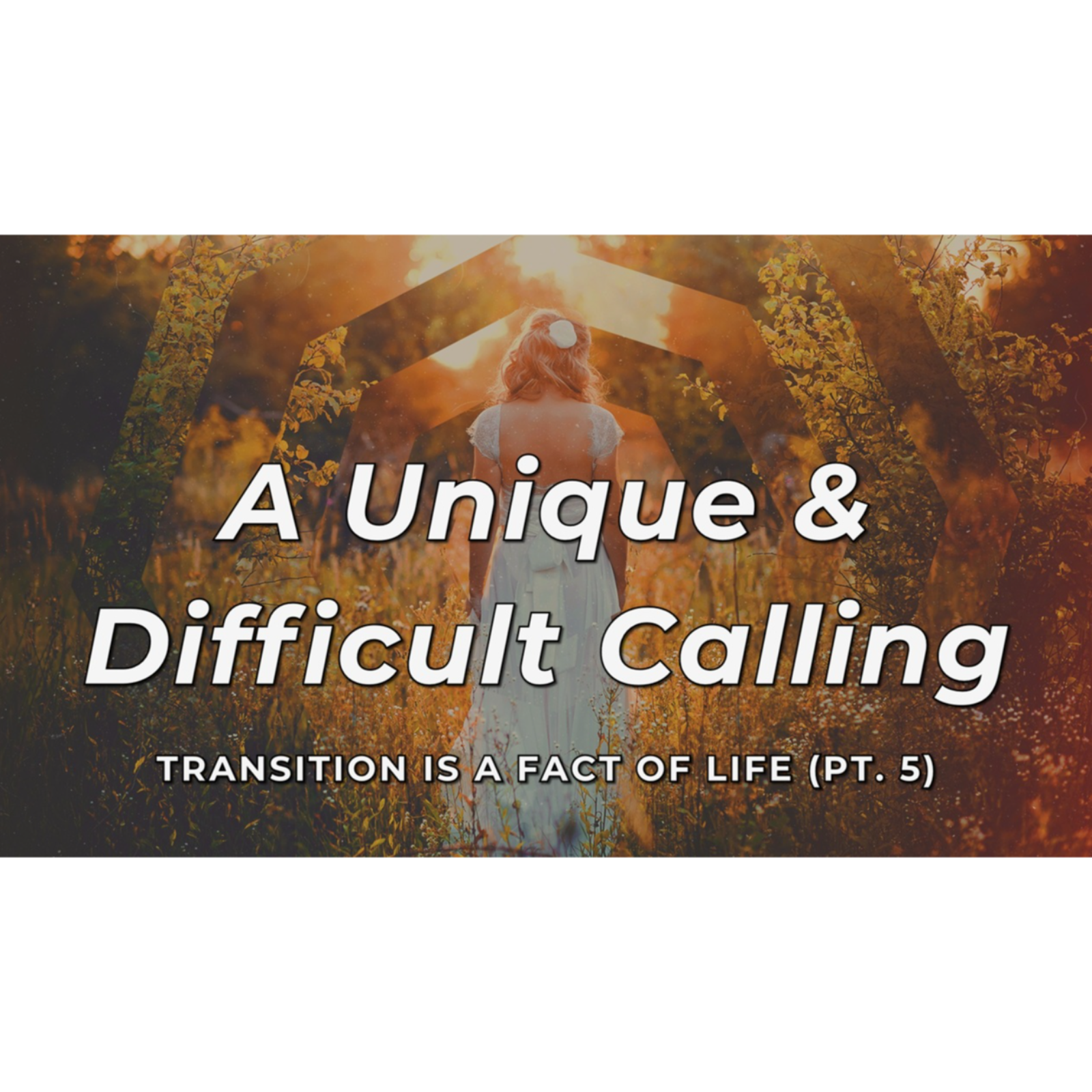 A Unique & Difficult Calling- Feb 15, 2026 episode artwork