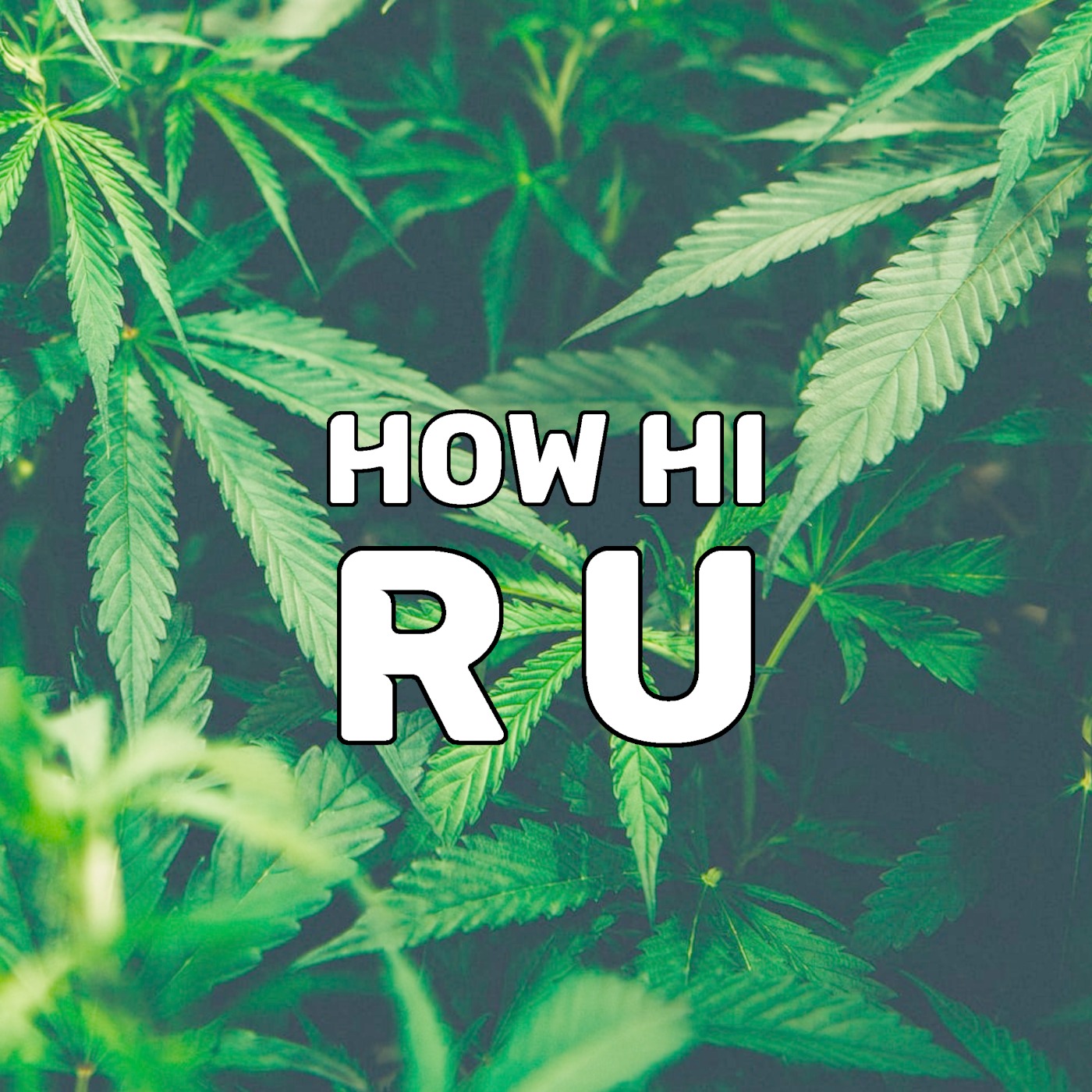 HOW HI R U HOW HI R U