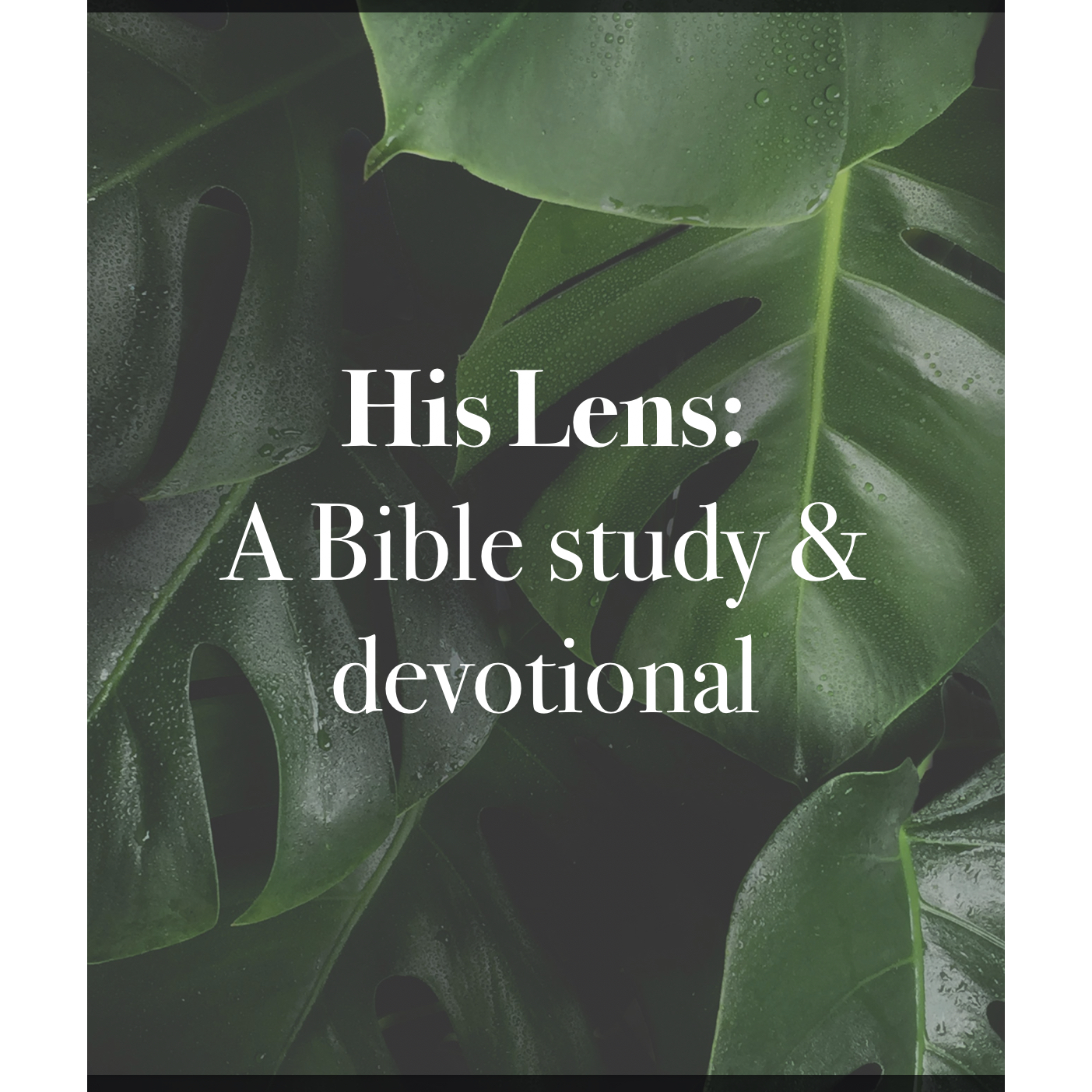 His Lens: A Bible Study & Devotional