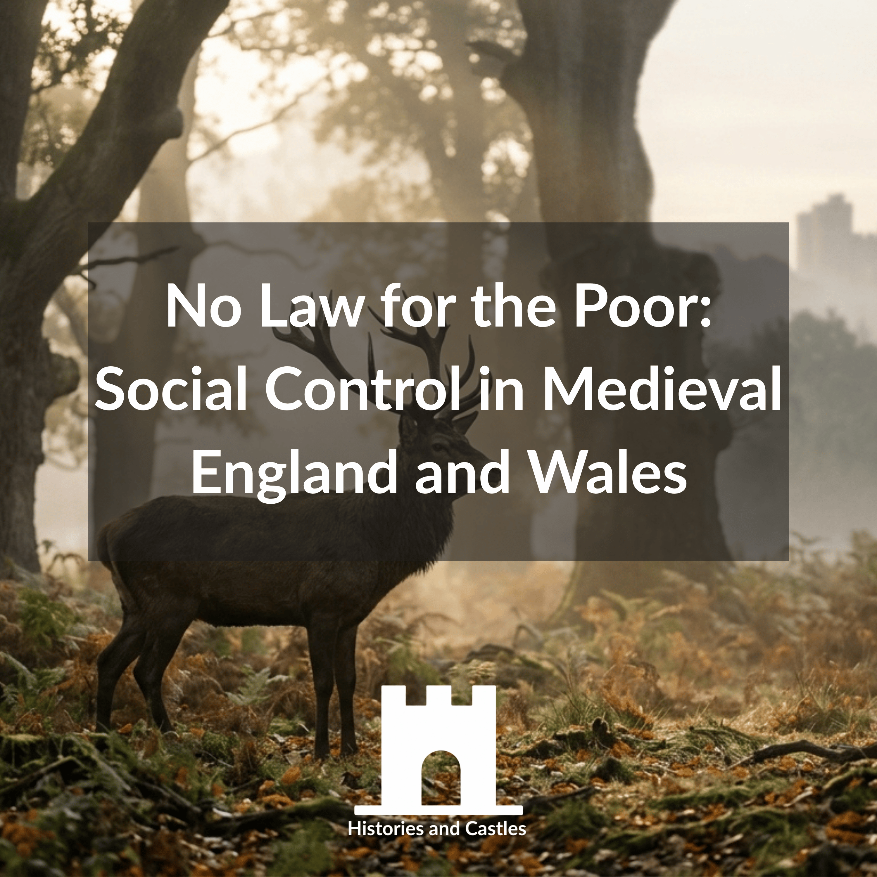 No Law for the Poor: Social Control in Medieval England and Wales episode artwork