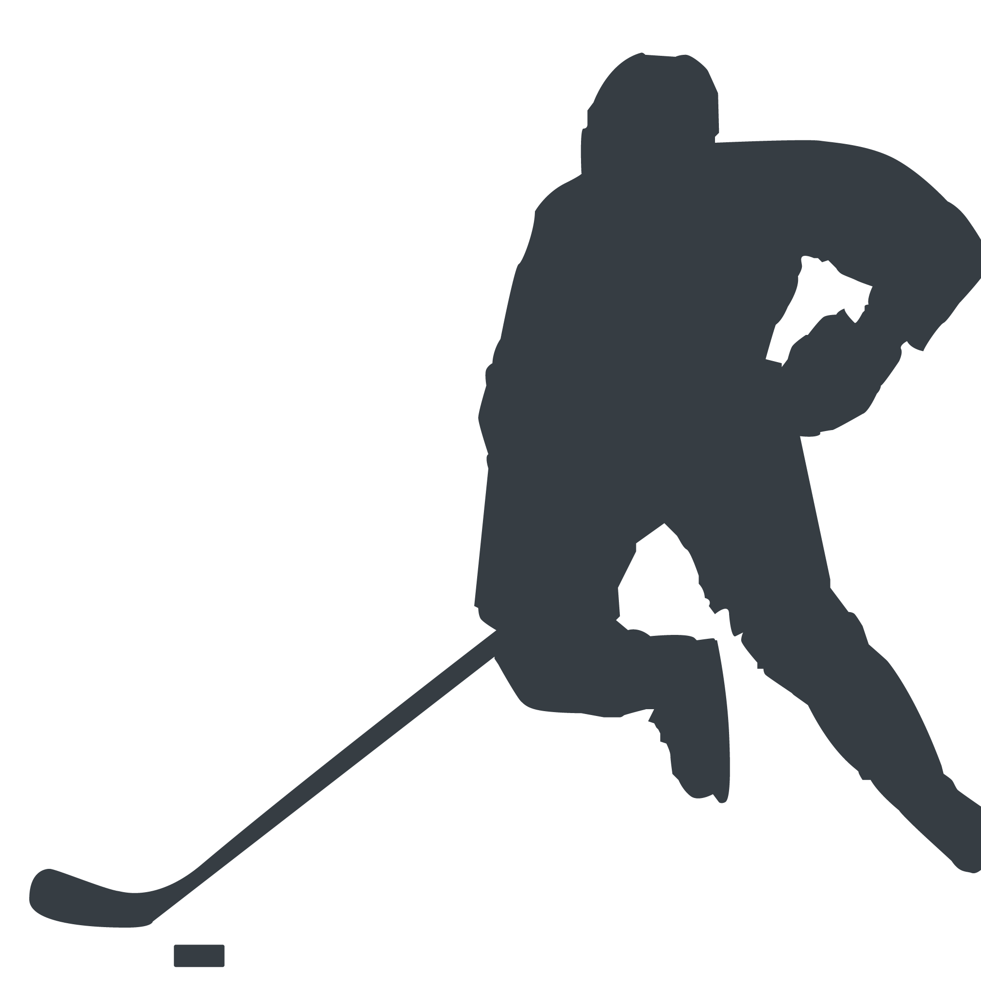 Hockey Nation