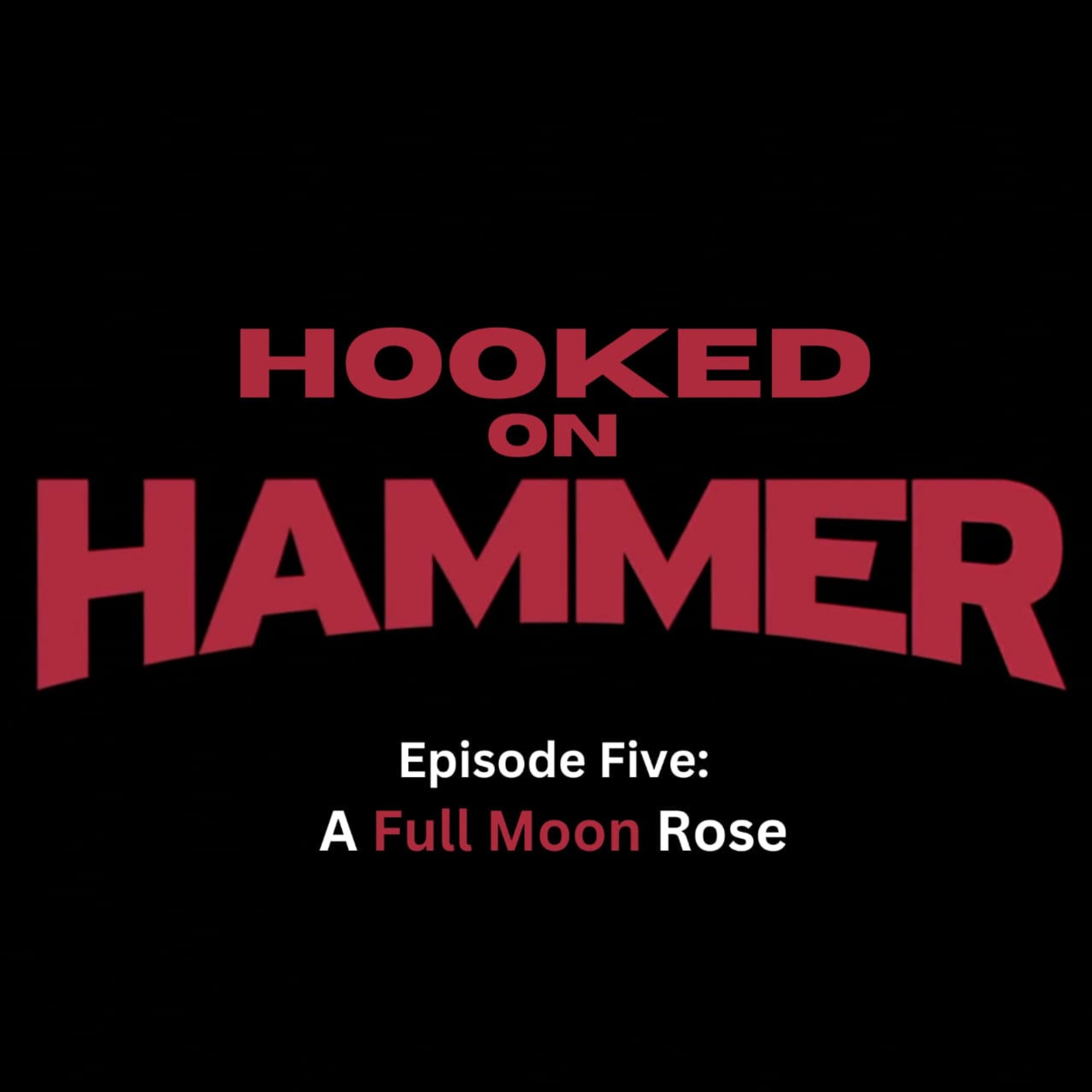 A Full Moon Rose A Full Moon Rose