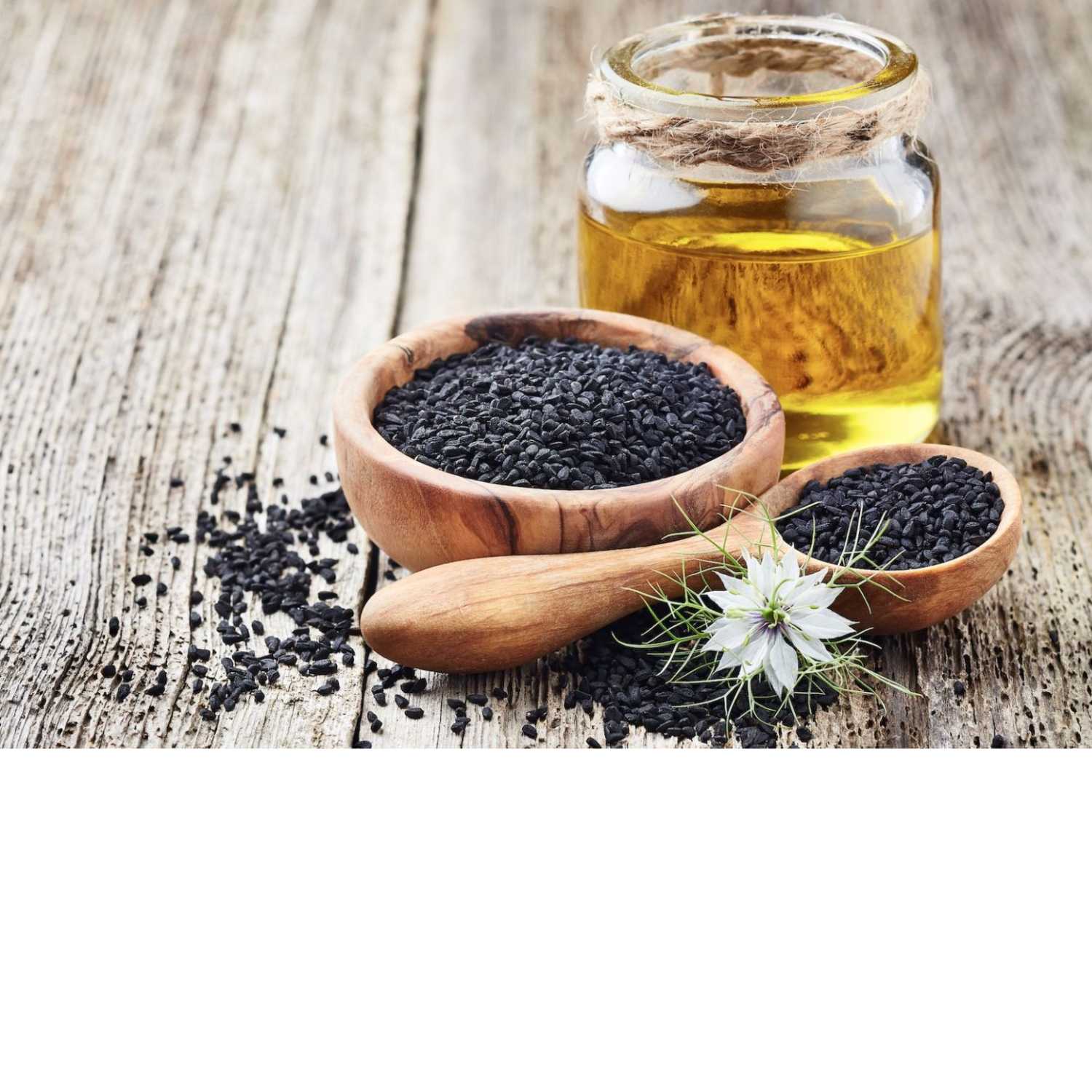 Holistic Harmony Podcast's