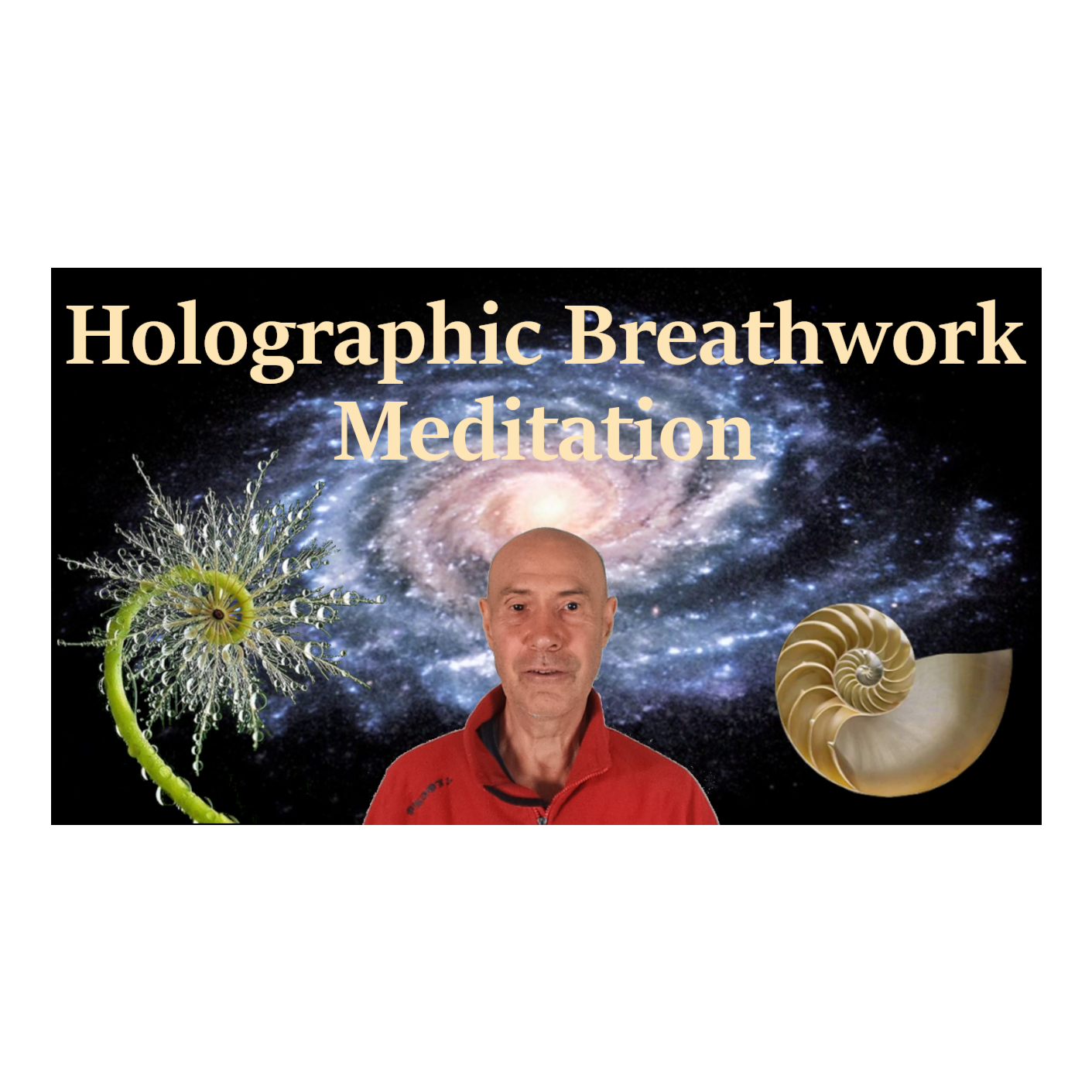 Holographic Breathwork Meditation For Healing The Mind Body and Spirit. episode artwork