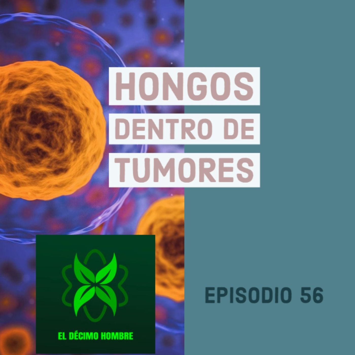 Hombre Décimo