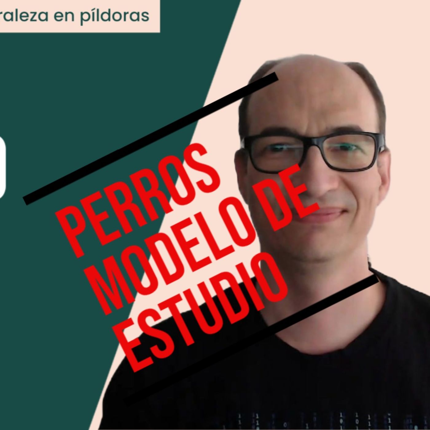 Hombre Décimo