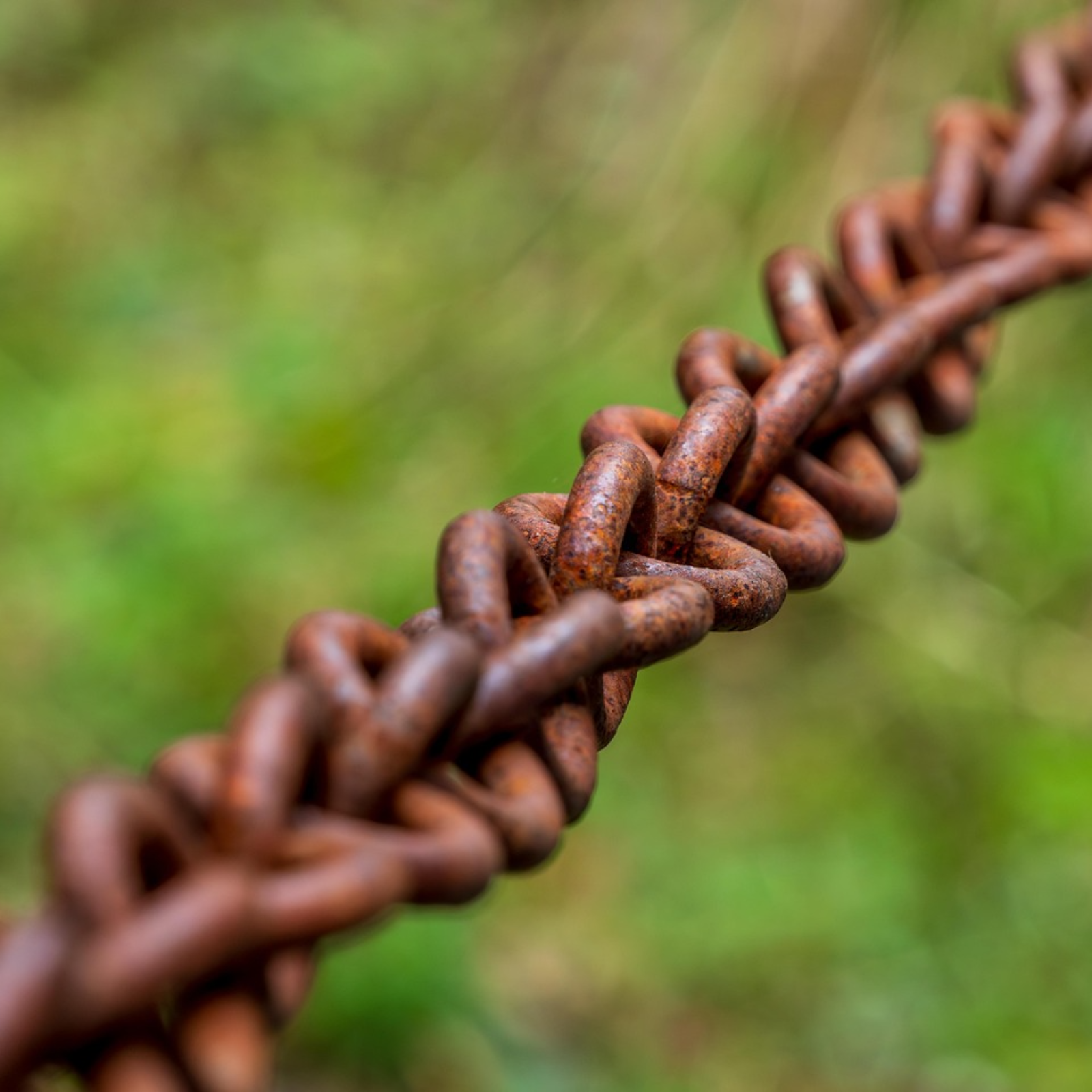 Errores de conexión con la Naturaleza