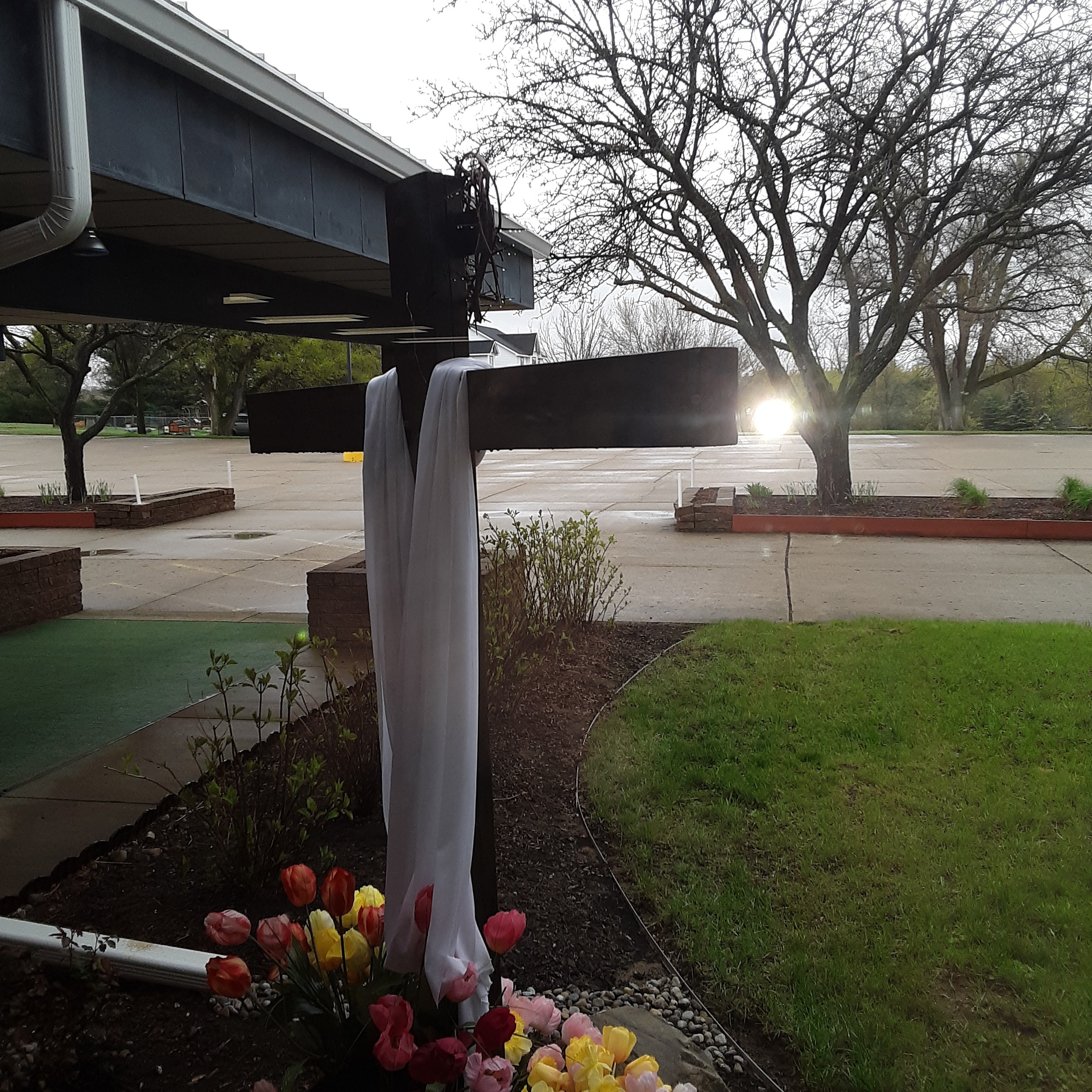 Homilies by Father Brooks