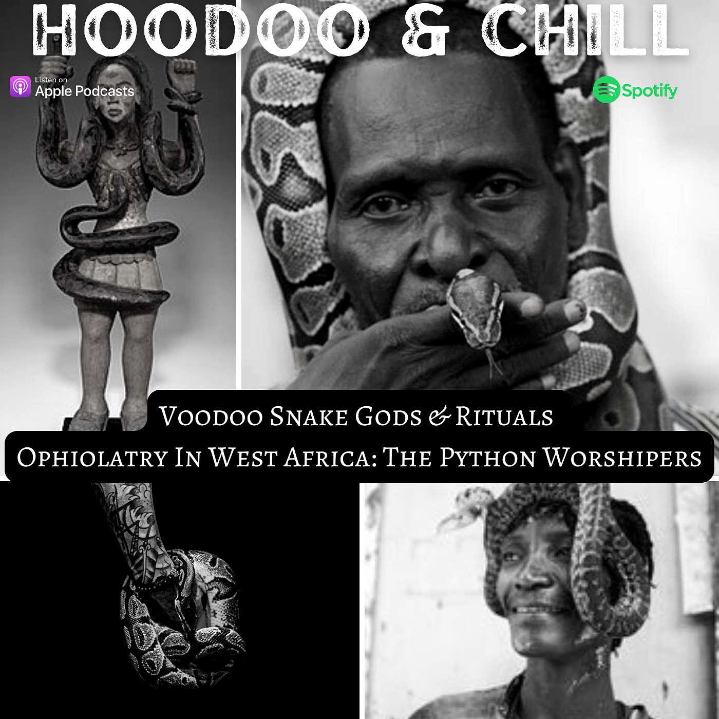 Voodoo Snake gods & Rituals (Ophiolatry In West Africa : The Python Worshipers ) episode artwork