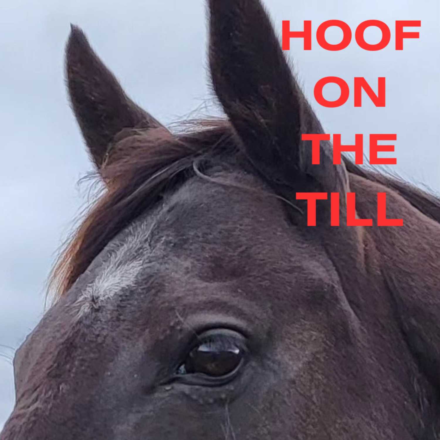 Hoof On the Till