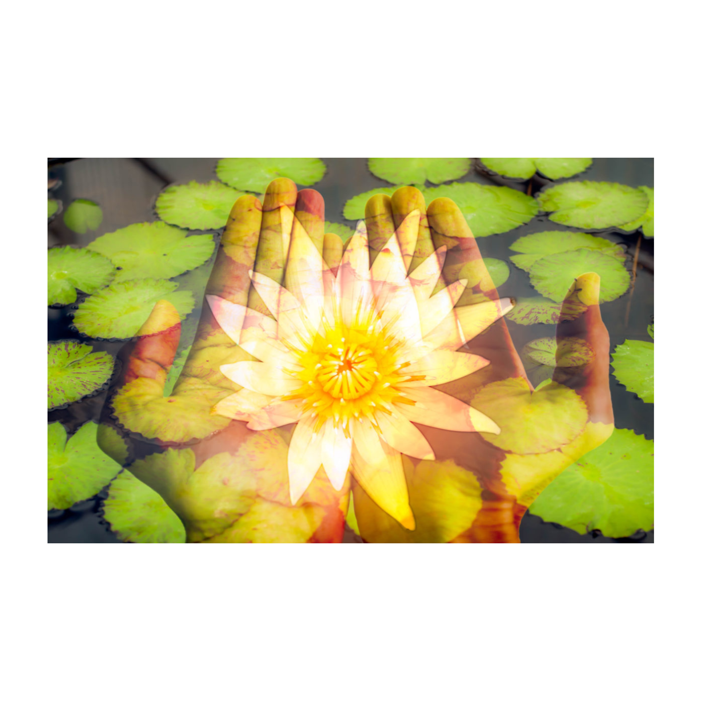 A SOULS JOURNEY & TRANSFORMATION