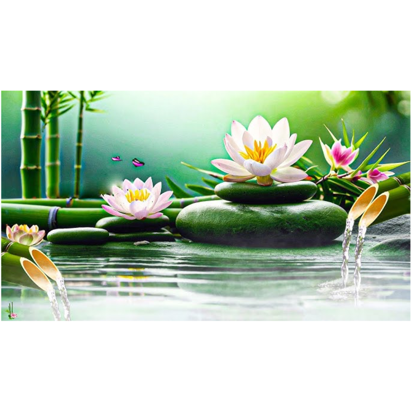 Intuitive ~ClearThinking
