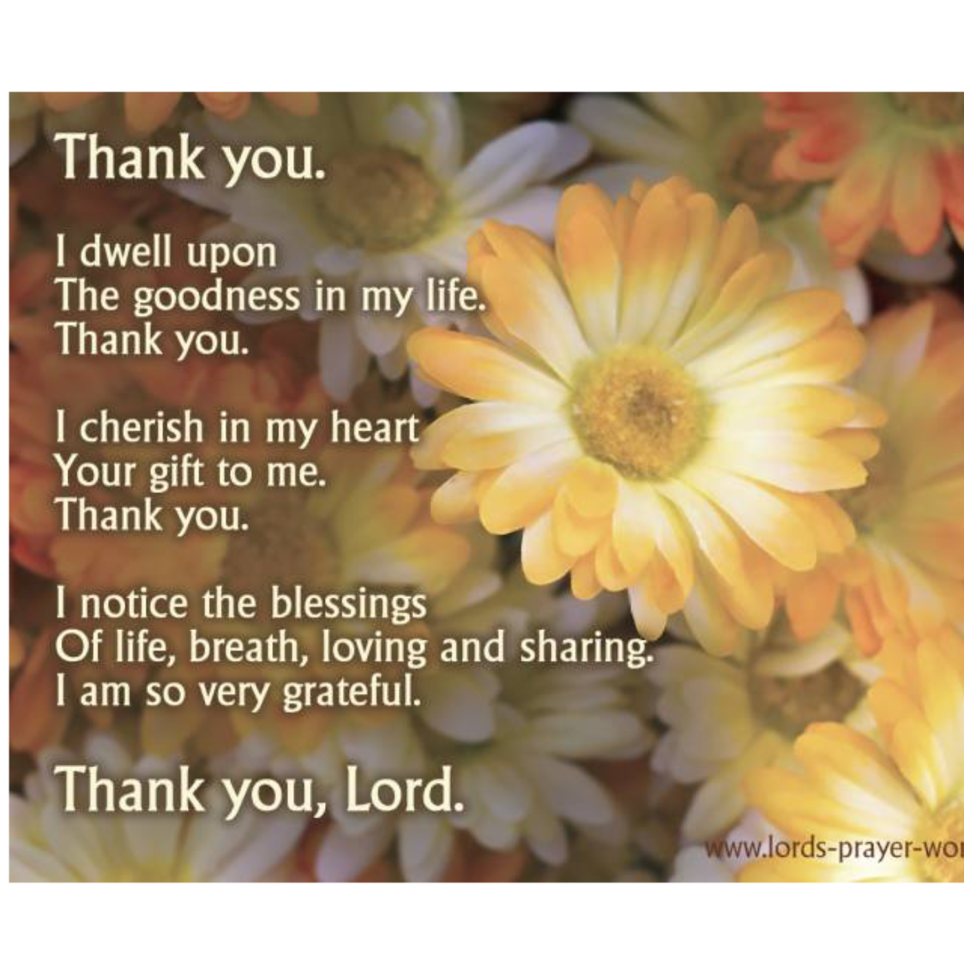 Keeping us Safe and Being Grateful
