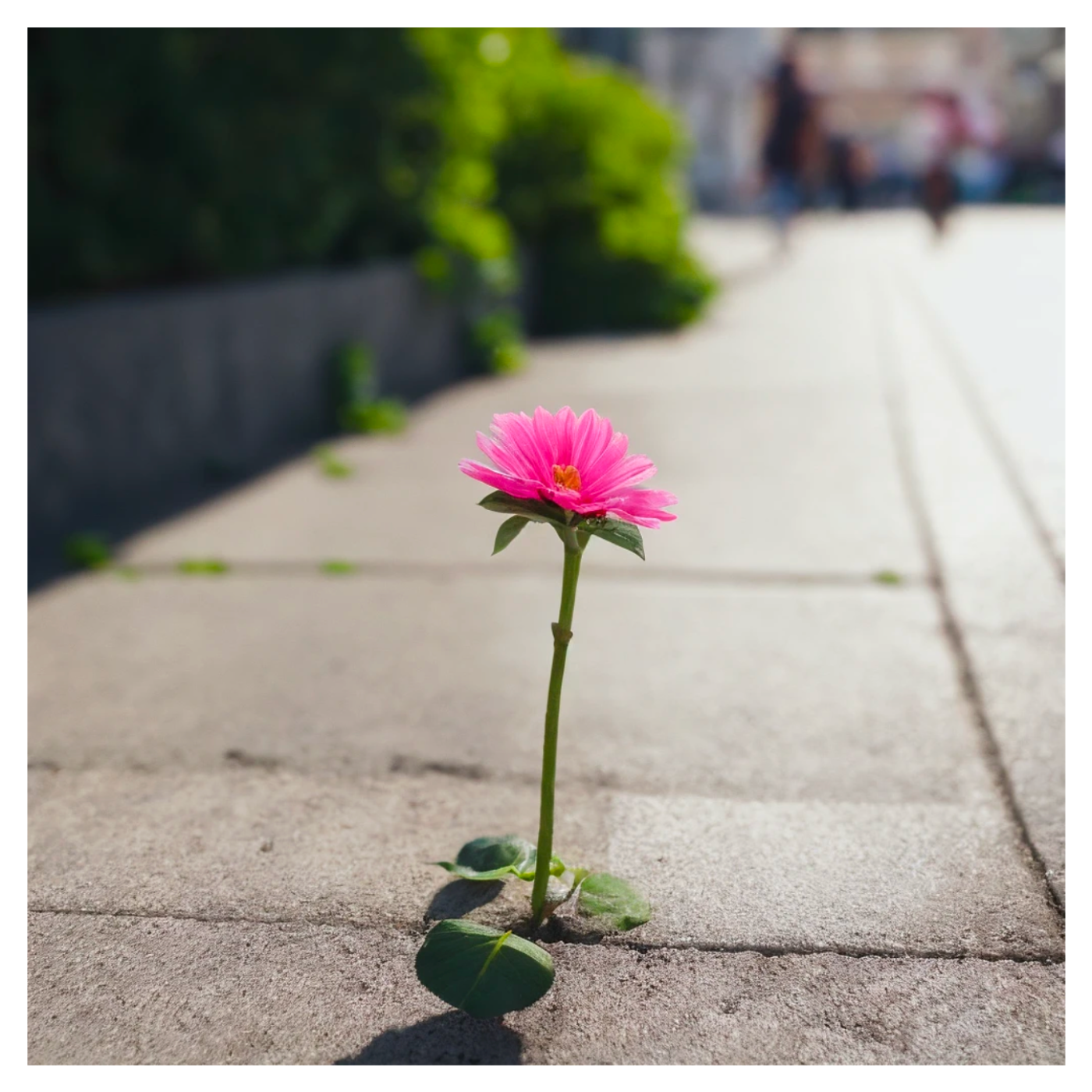 Take a Hand ~ grow~ 🌸🌷🌻