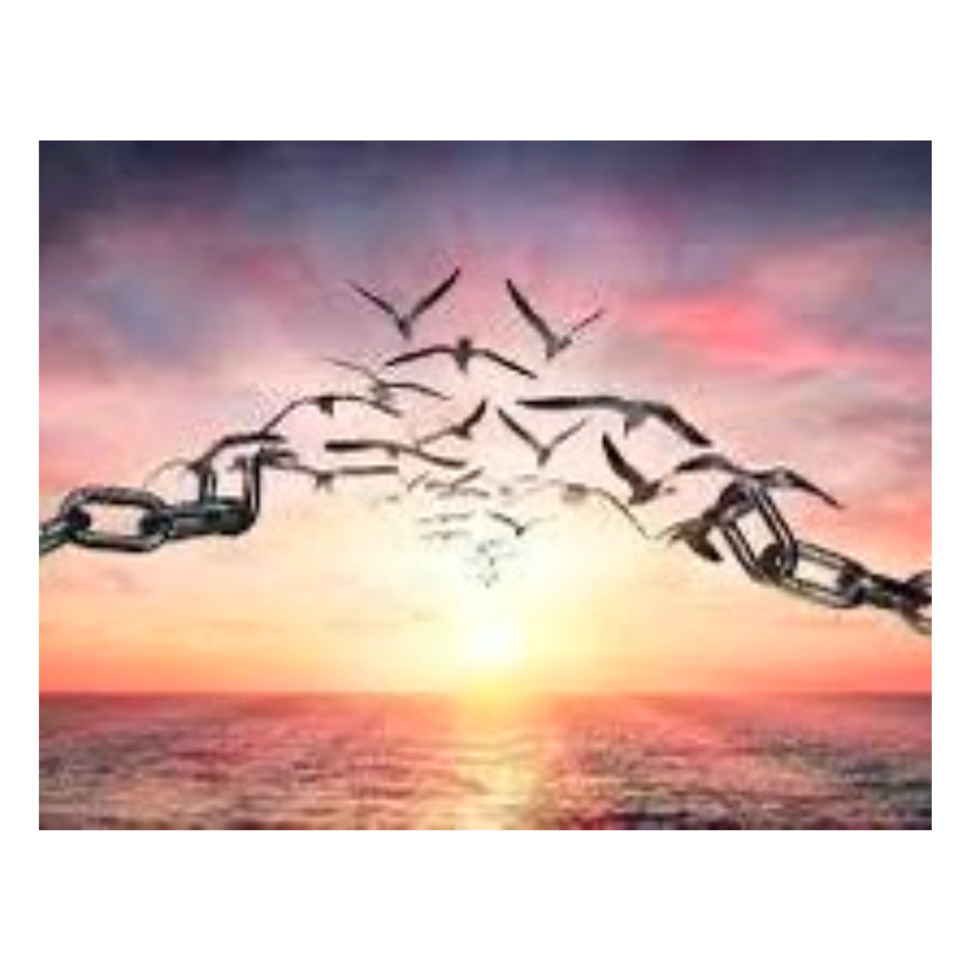 Finding the Light for Healing ~