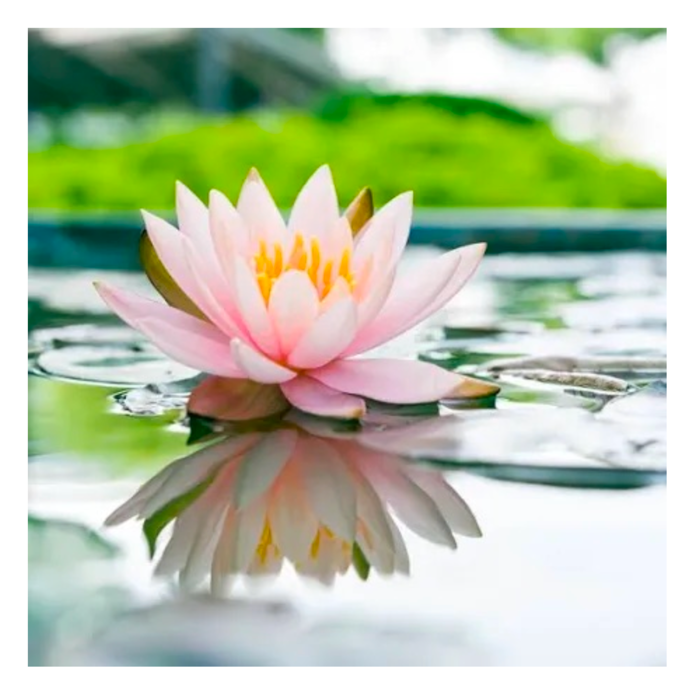 Sadness of Heart~ to the Heart of the Journey ~