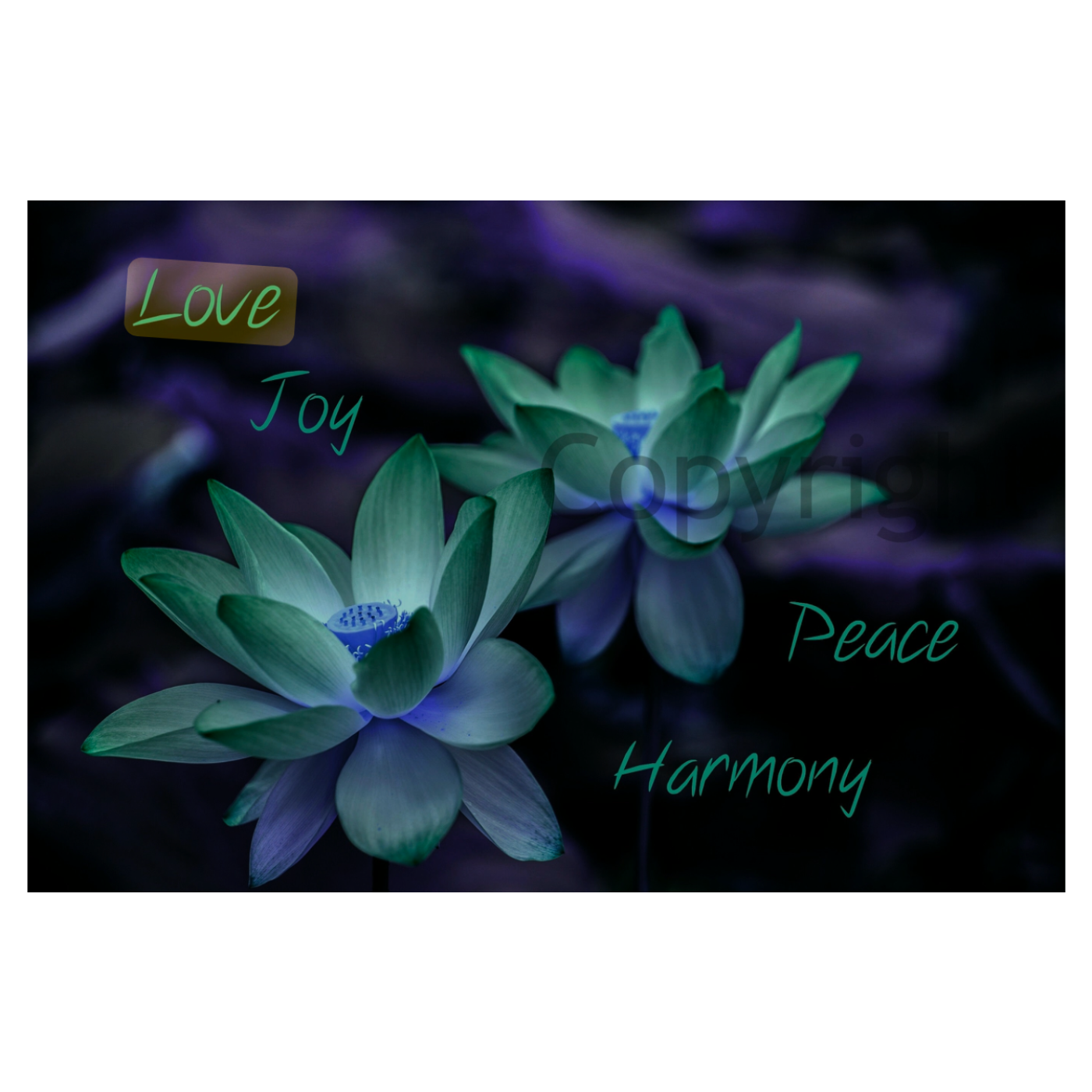 Healing TRAUMA