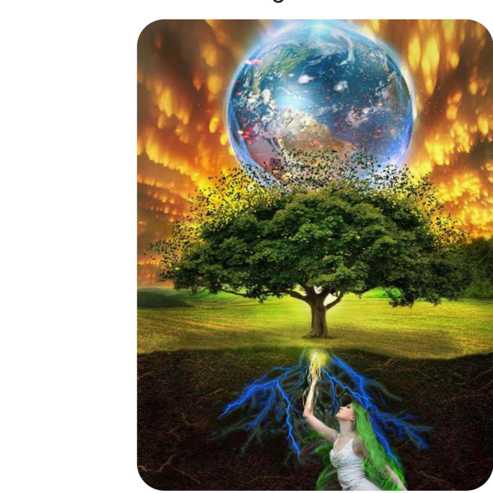 Professional Setbacks and the Journey and Renewal 