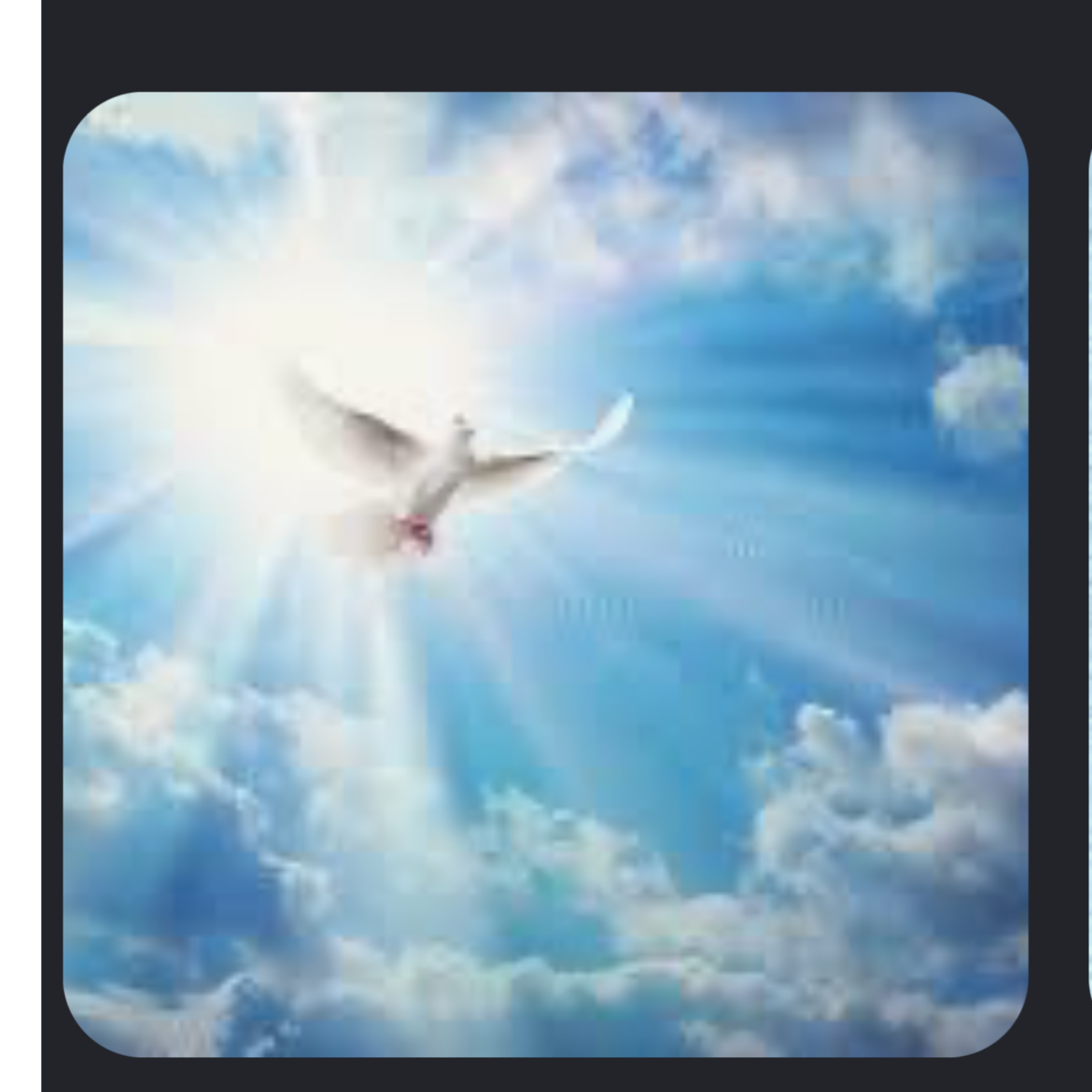 Doves  🕊️ and a Peaceful  🍃Journey 🦋☀️🌸