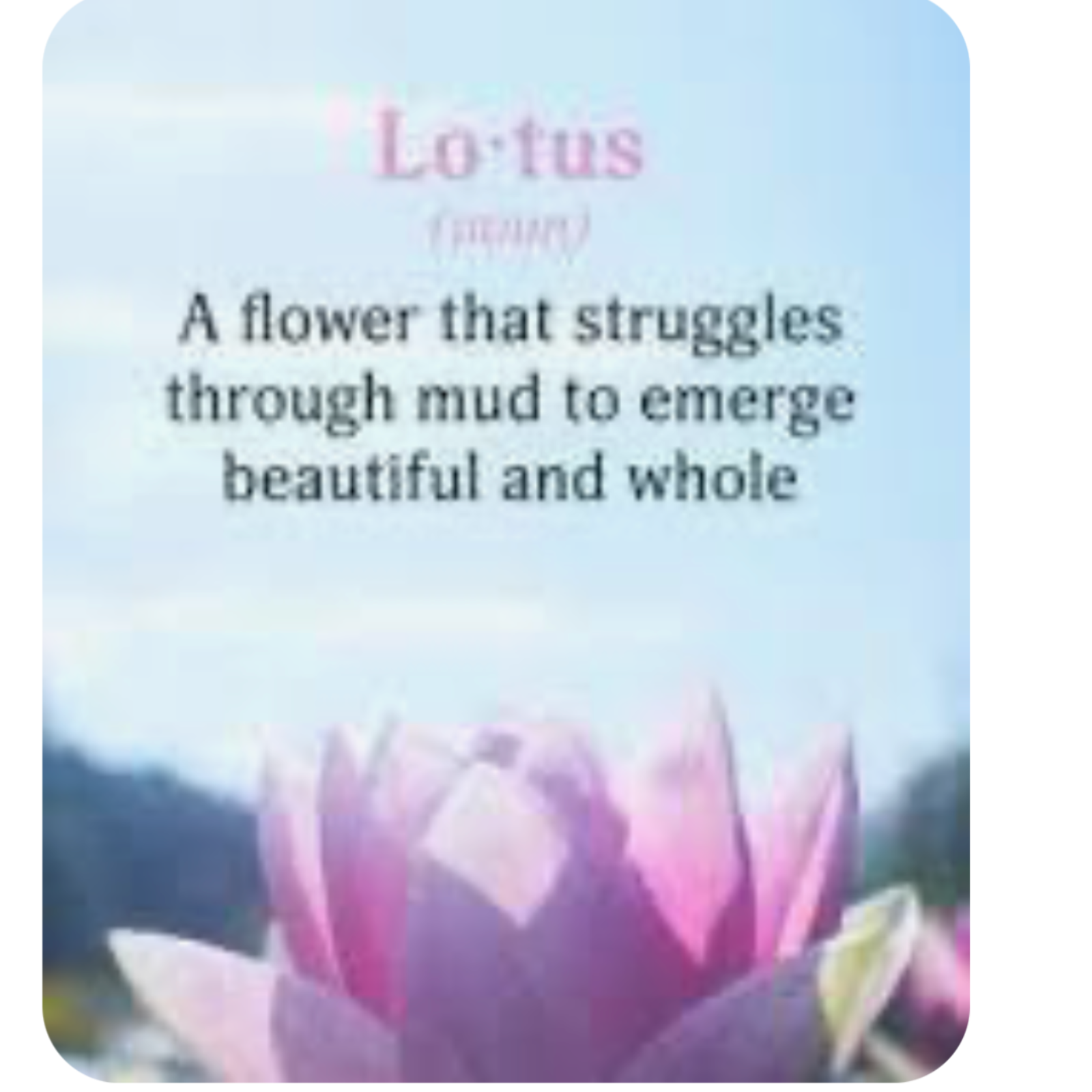 Pink and Chakras Equanimity 