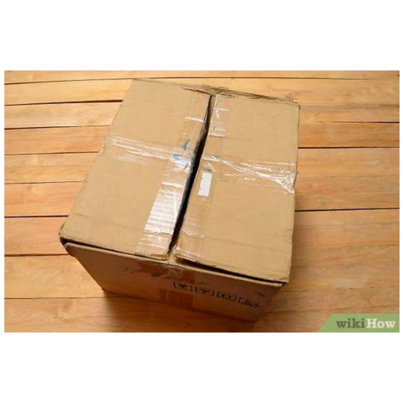 Delightful Reflection 