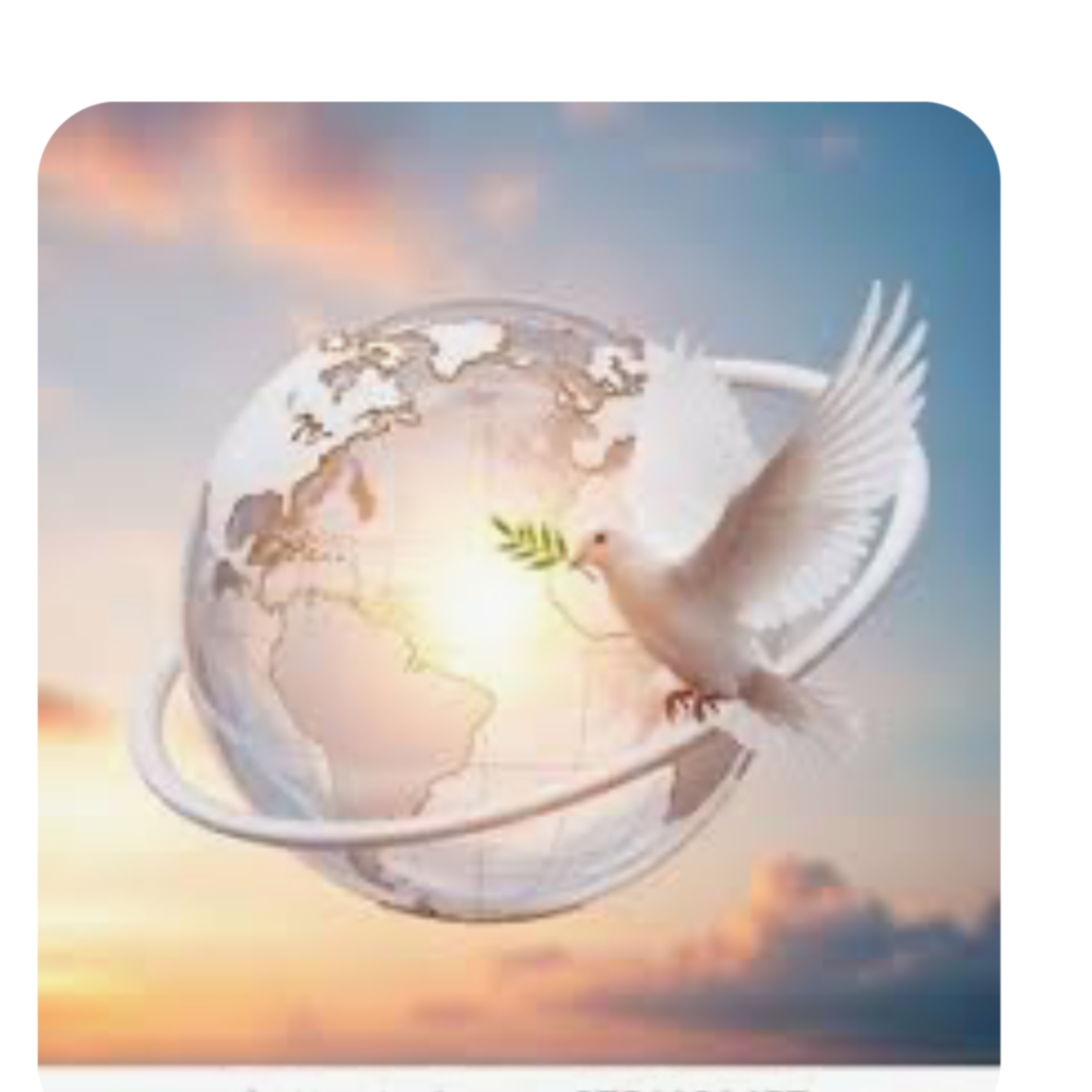 Peacefully and purposefully in Dignity and Respect 