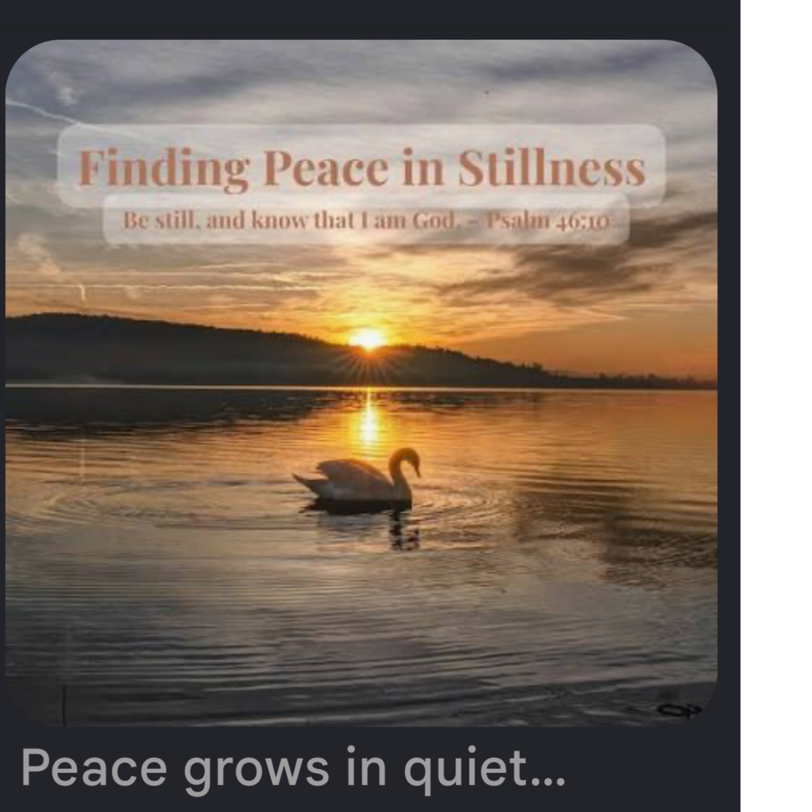 Fulfillment and success 