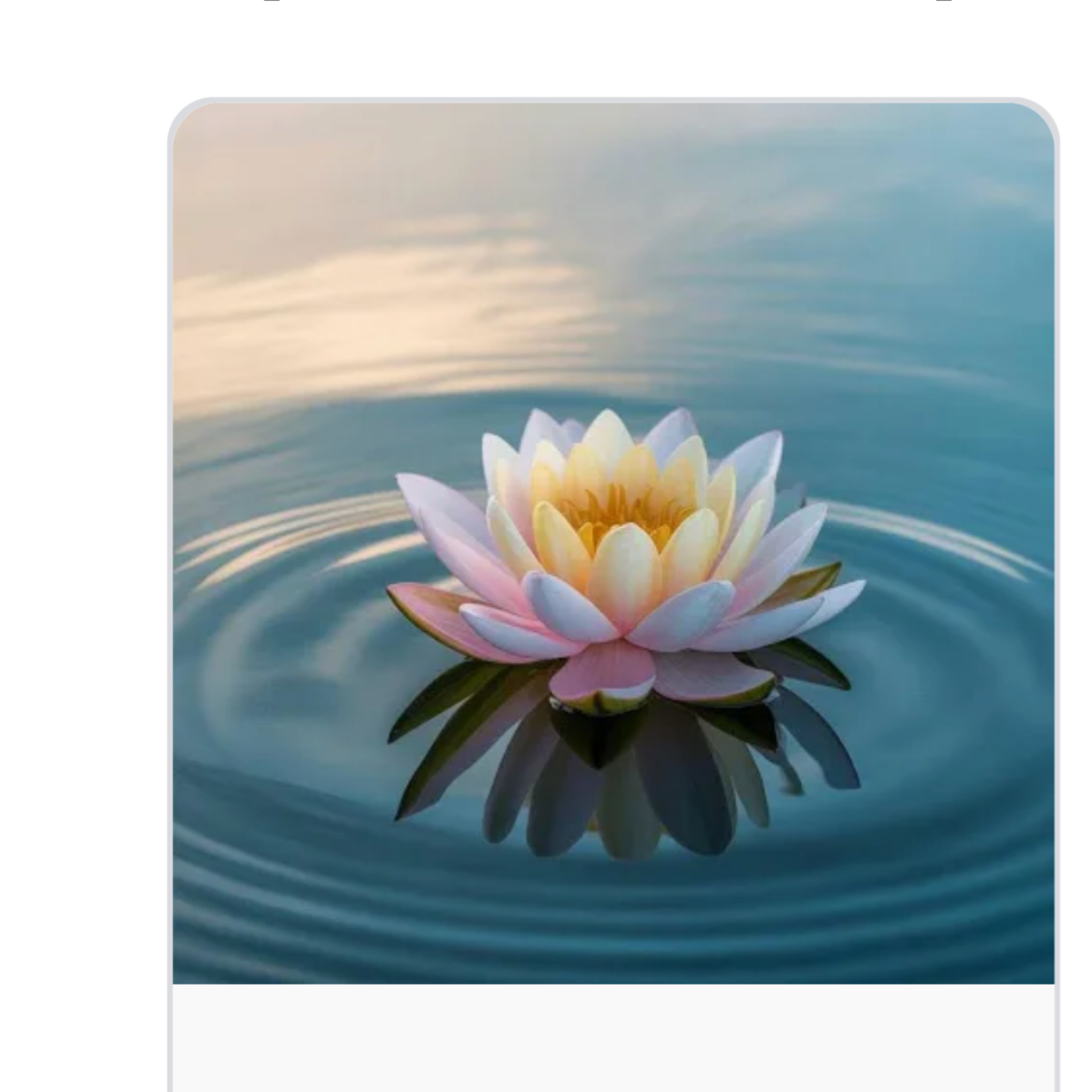 Communities aligned and lining you 