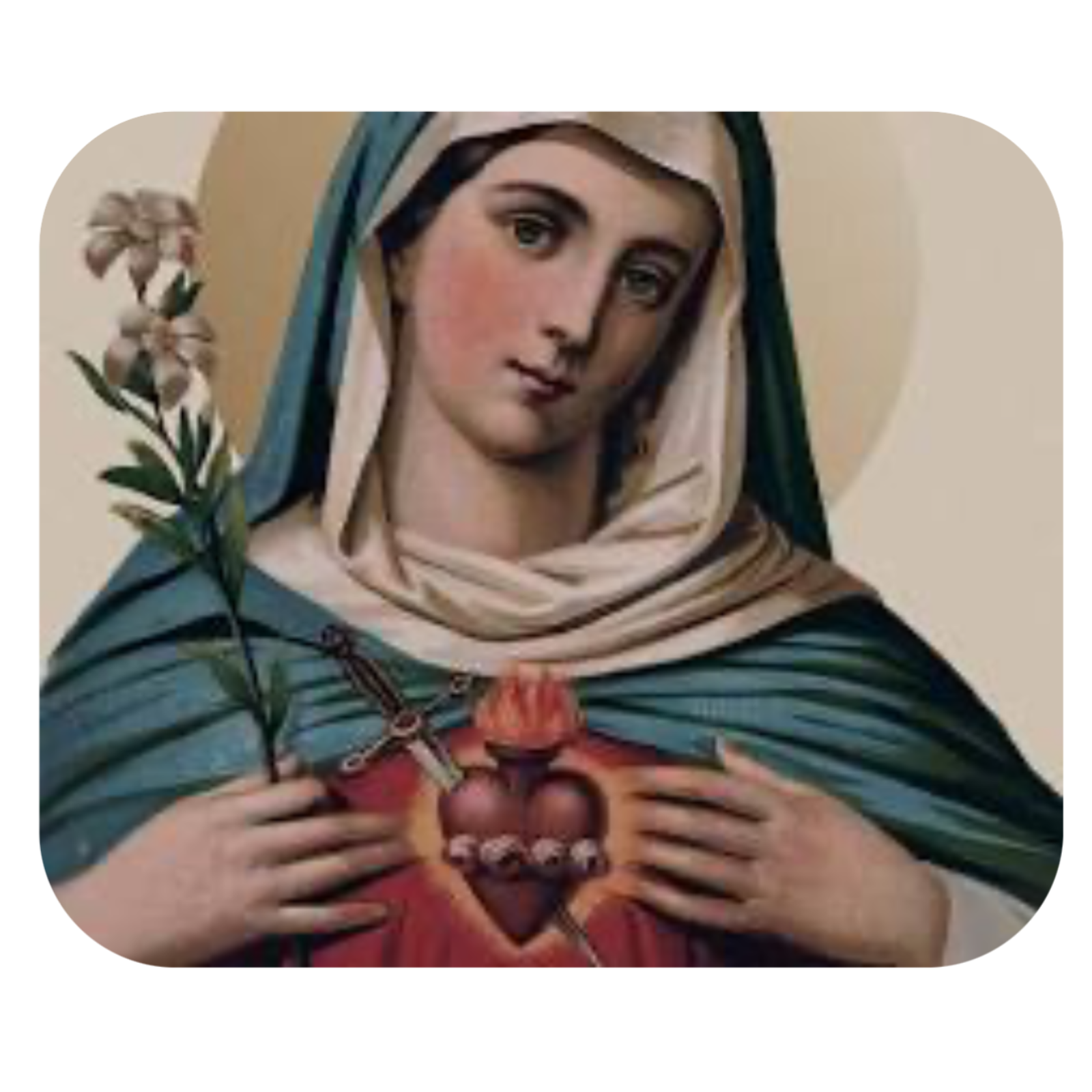 Angel Messages and Nature Guidance 