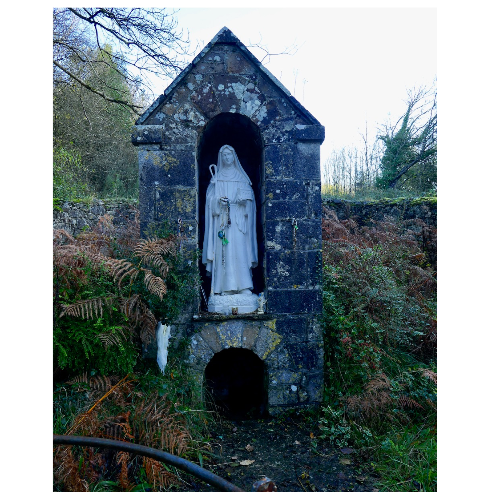 Irish ☘️ Blessings and Cleansing for the Soul