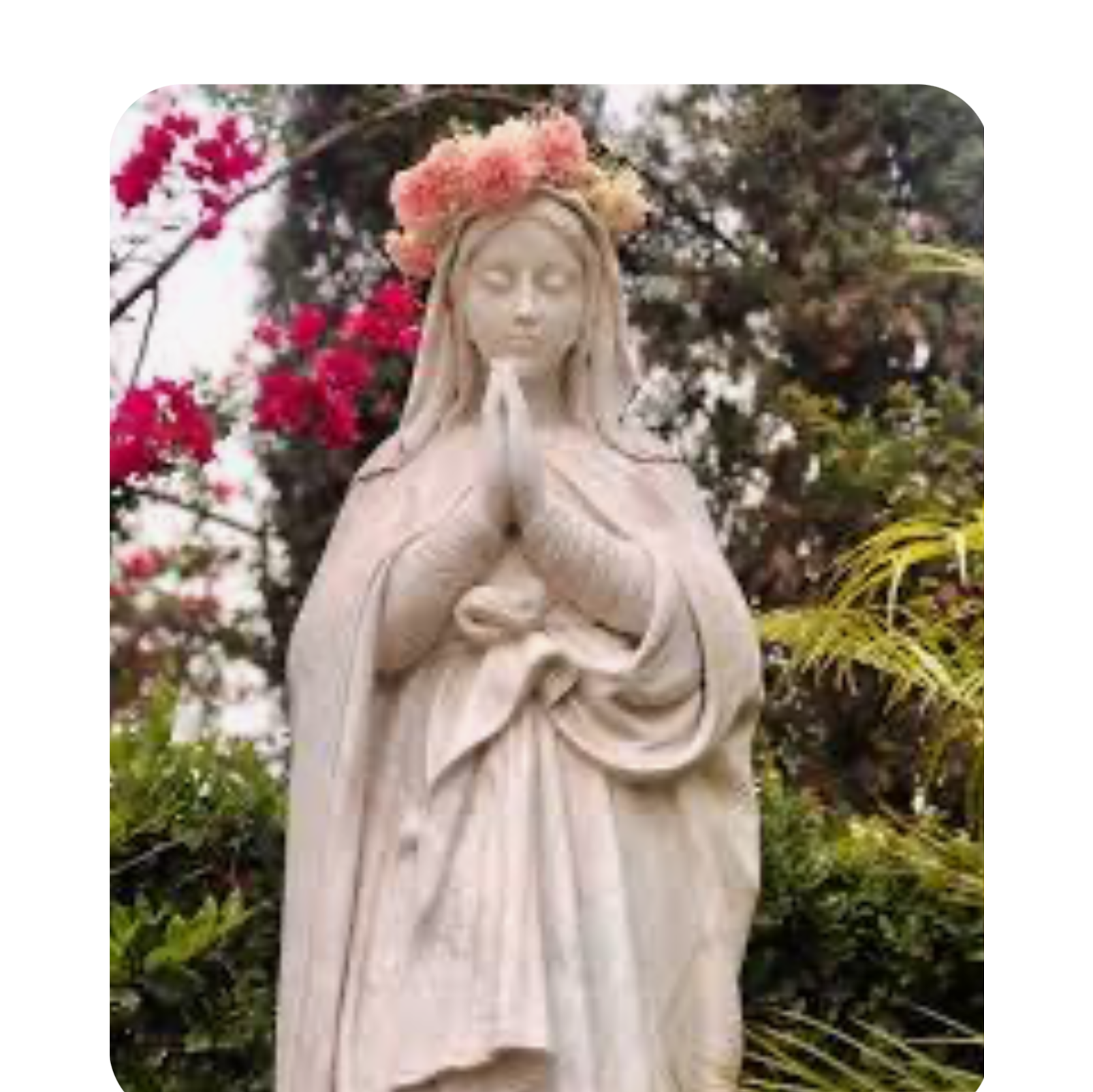 Intercede  in my Path beloved Mother 
