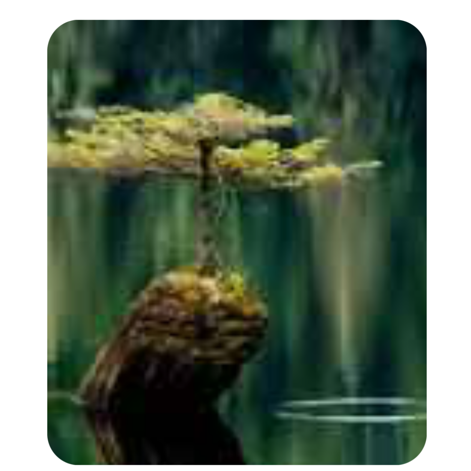 Breathwork and Unveiling 