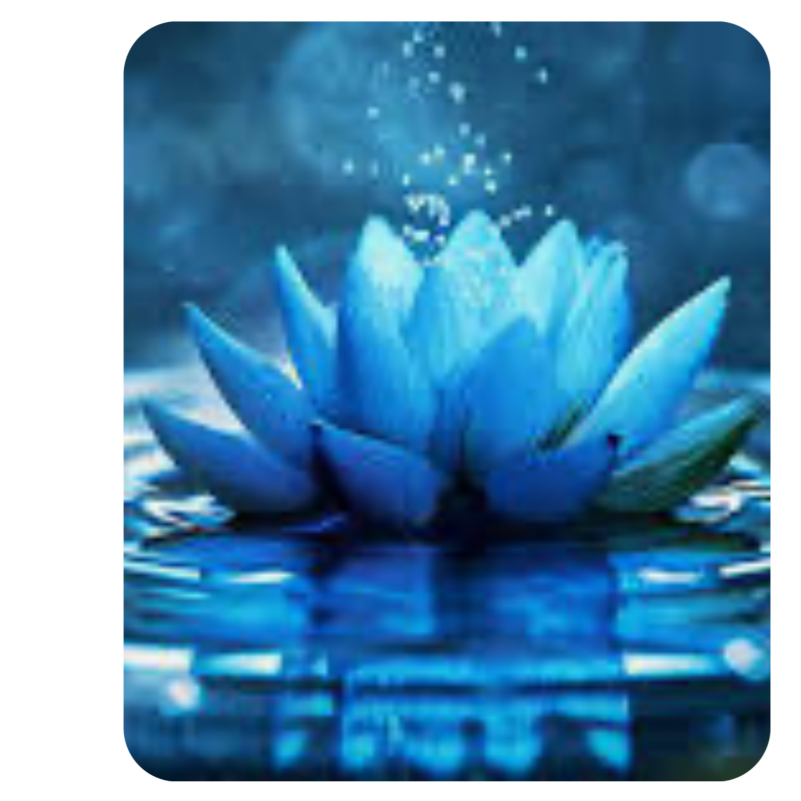 Unified Love  Principle on Earth and Evolution 
