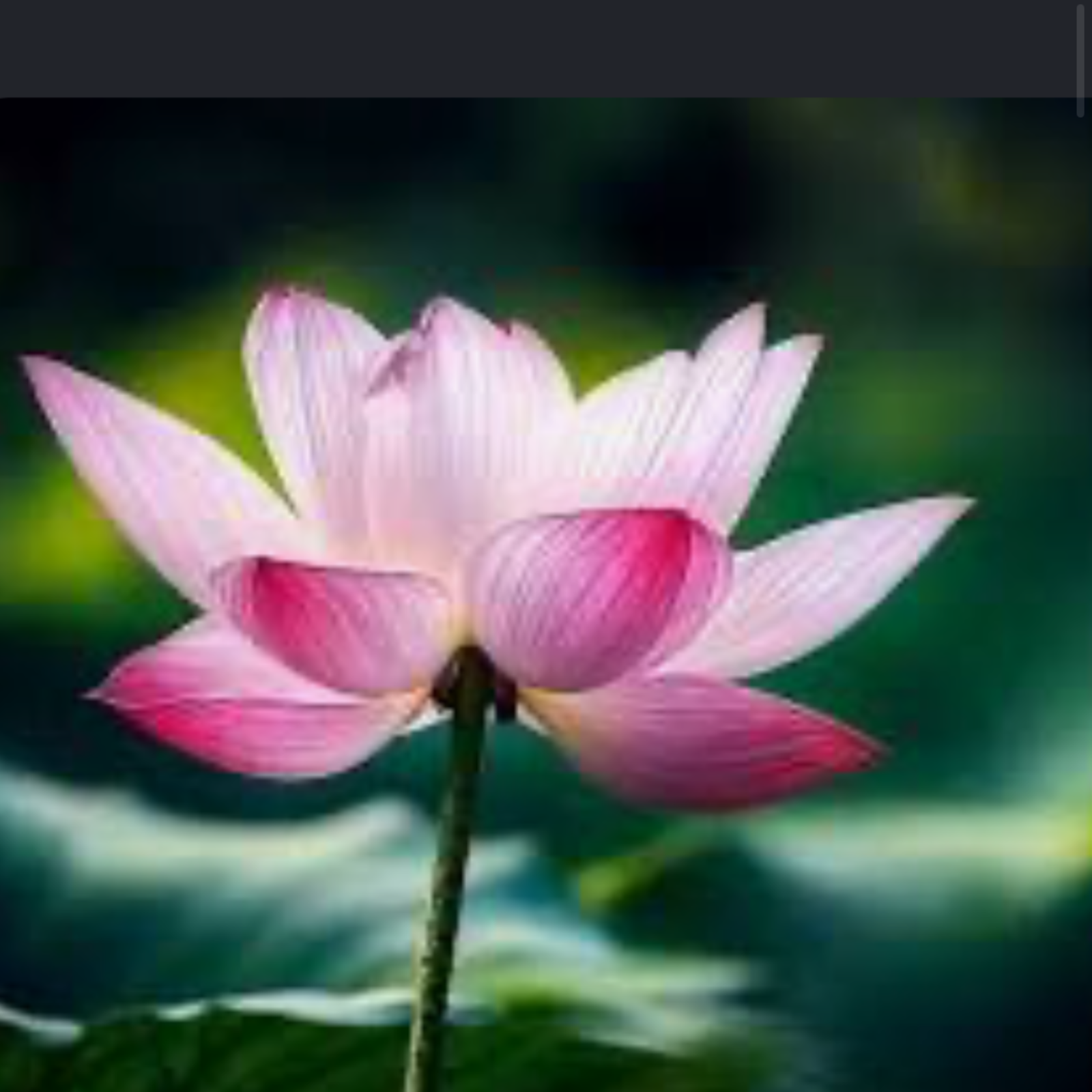 Give and Receive ~ Universal  Love and Infinite access  episode artwork